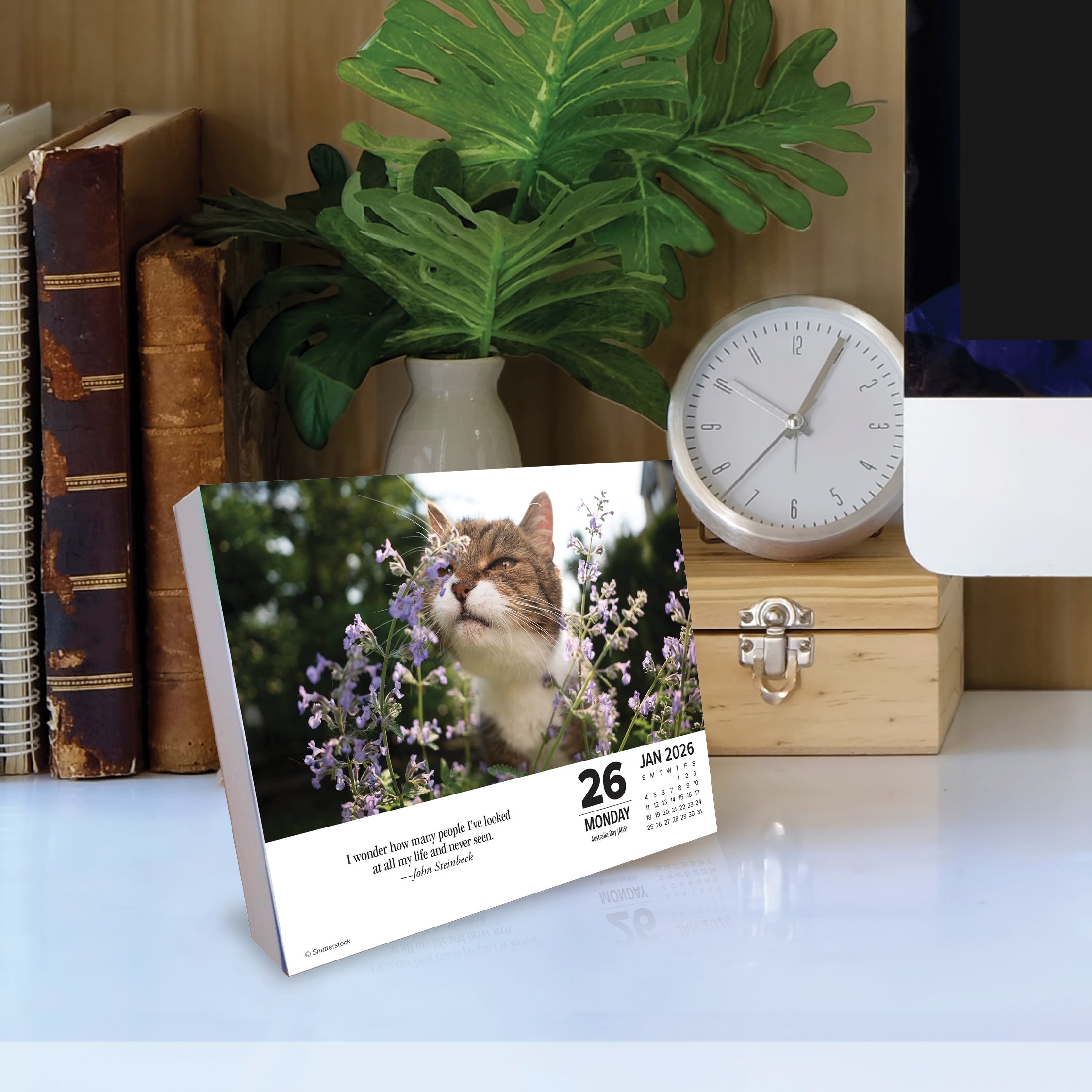 2026 What Cats Teach Us - Boxed Page-A-Day Calendar