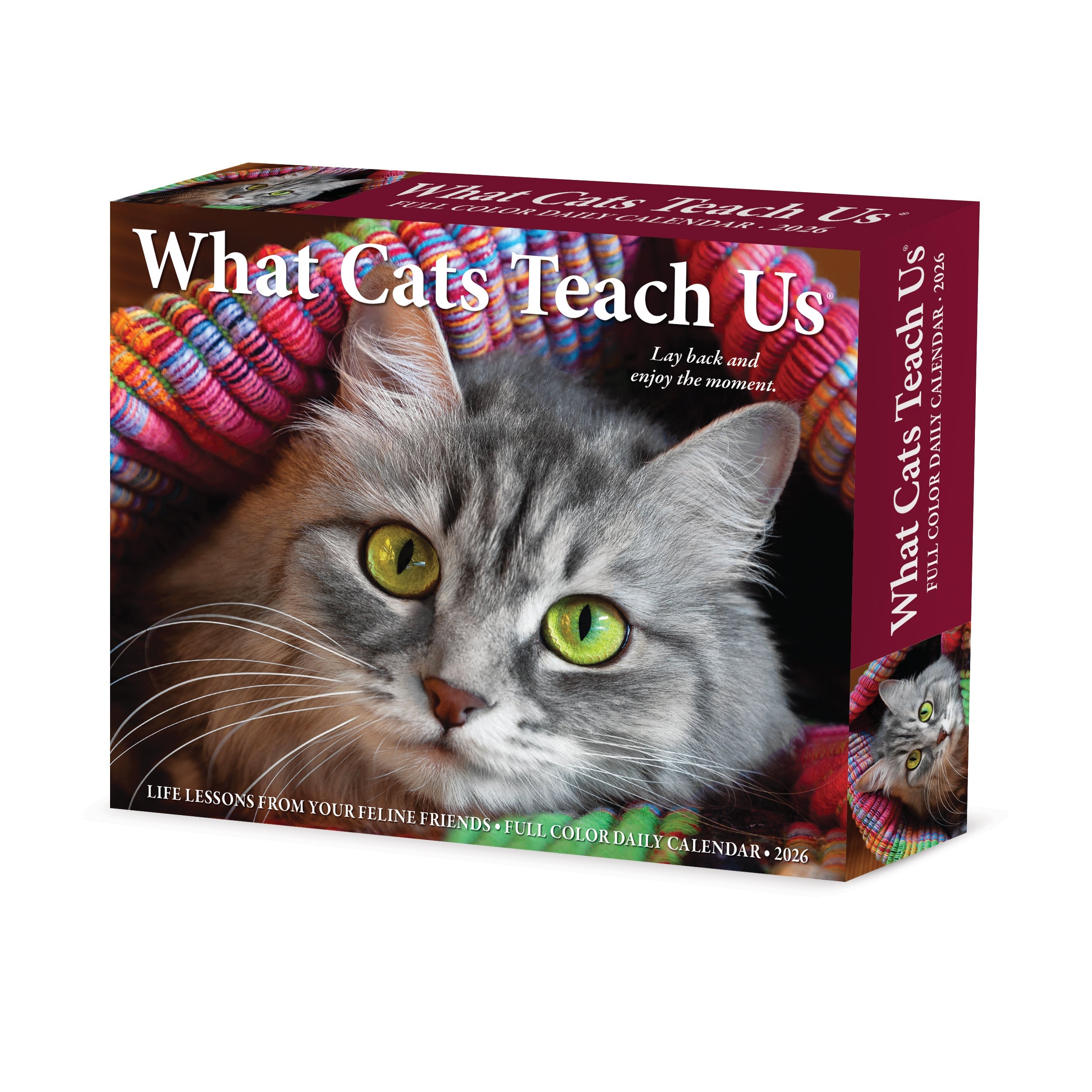 2026 What Cats Teach Us - Boxed Page-A-Day Calendar