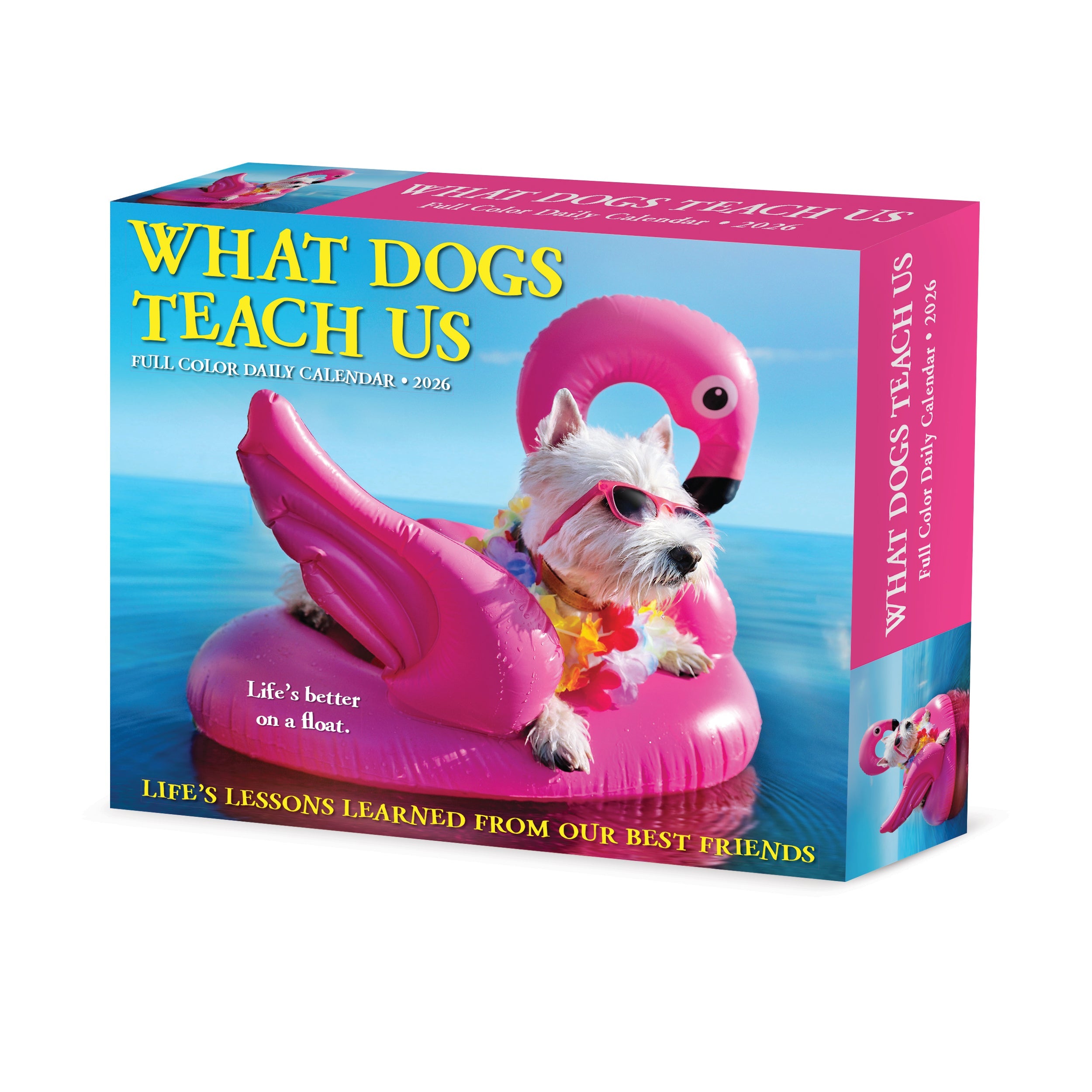 2026 What Dogs Teach Us - Boxed Page-A-Day Calendar