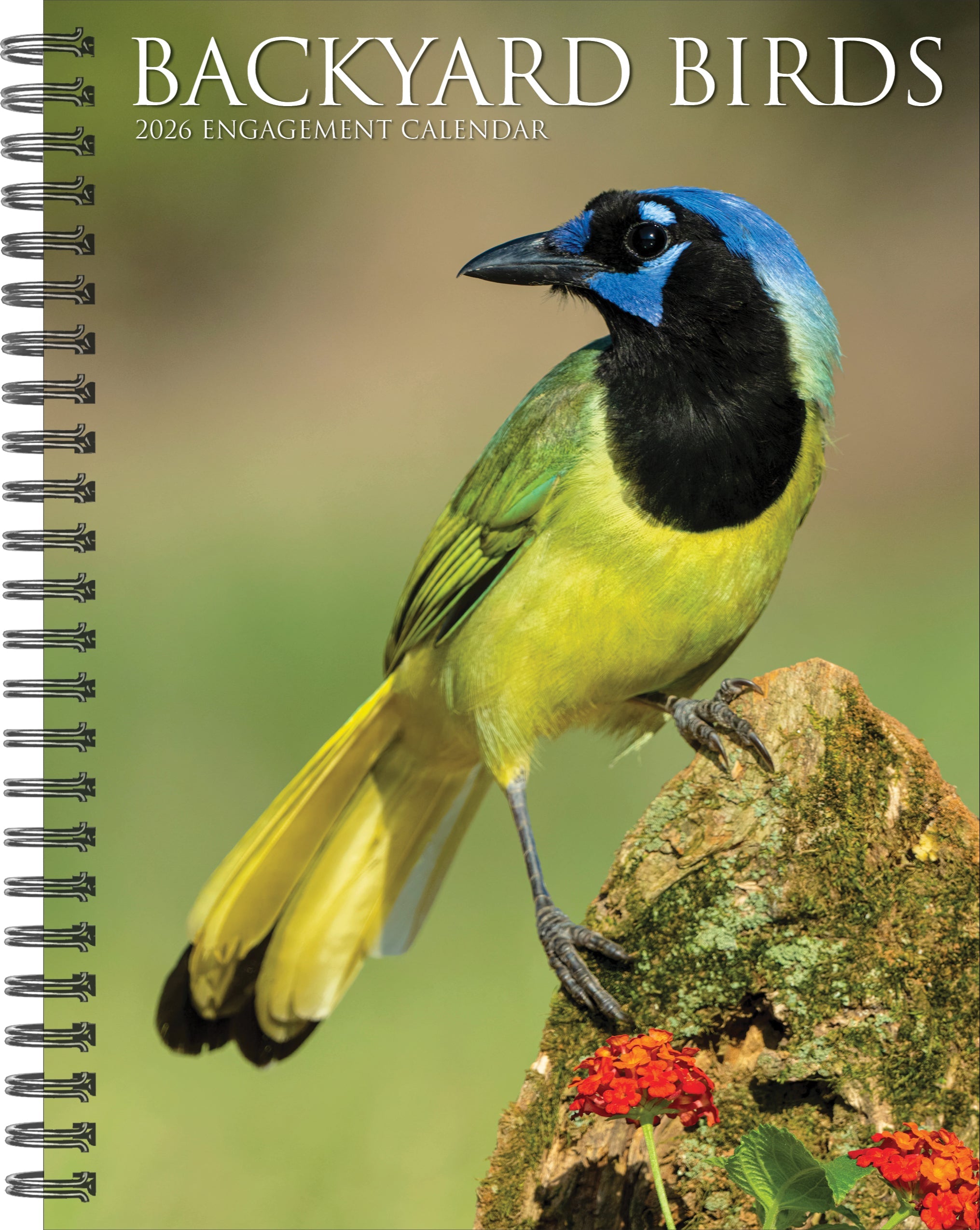 2026 Backyard Birds - Weekly Diary/Planner