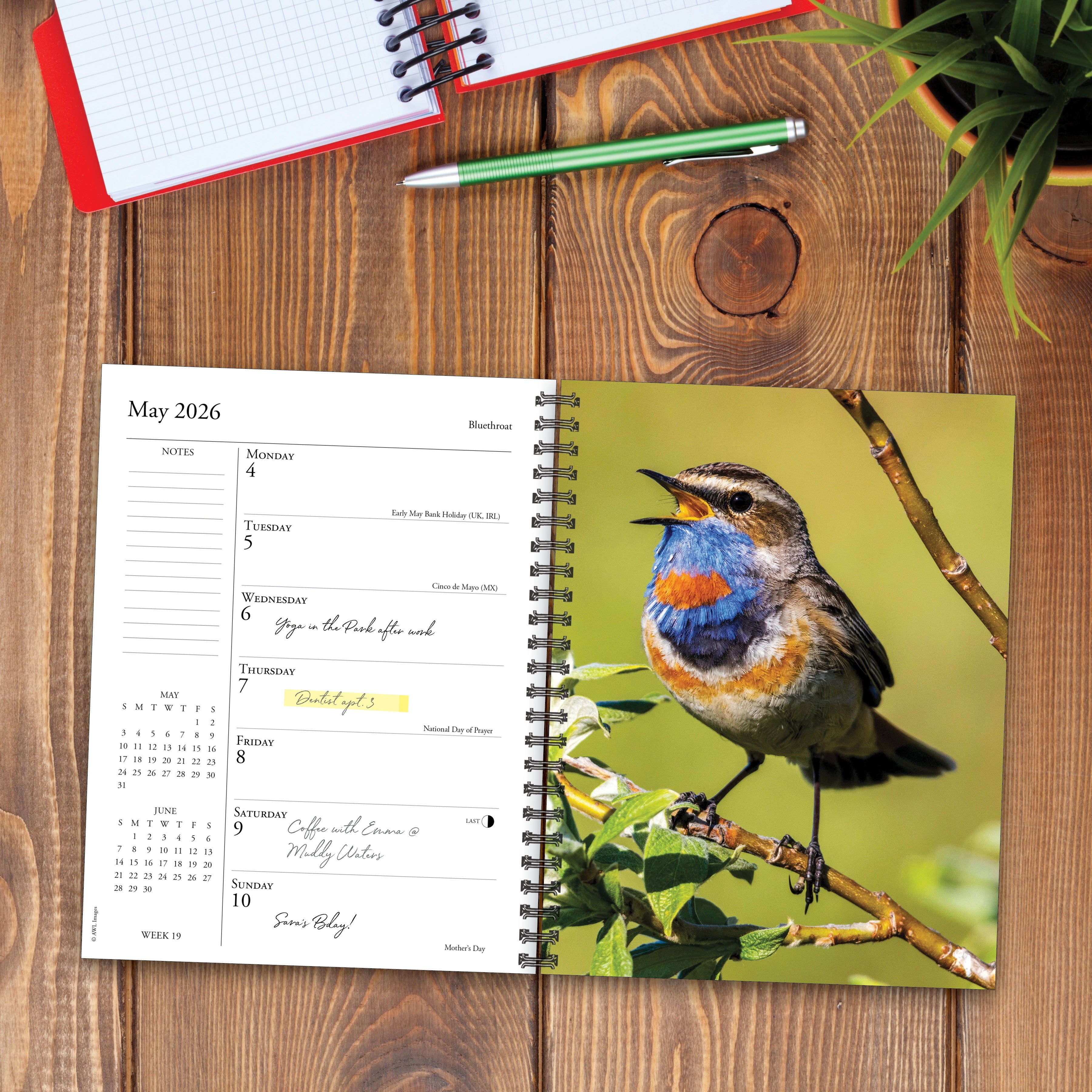 2026 Backyard Birds - Weekly Diary/Planner