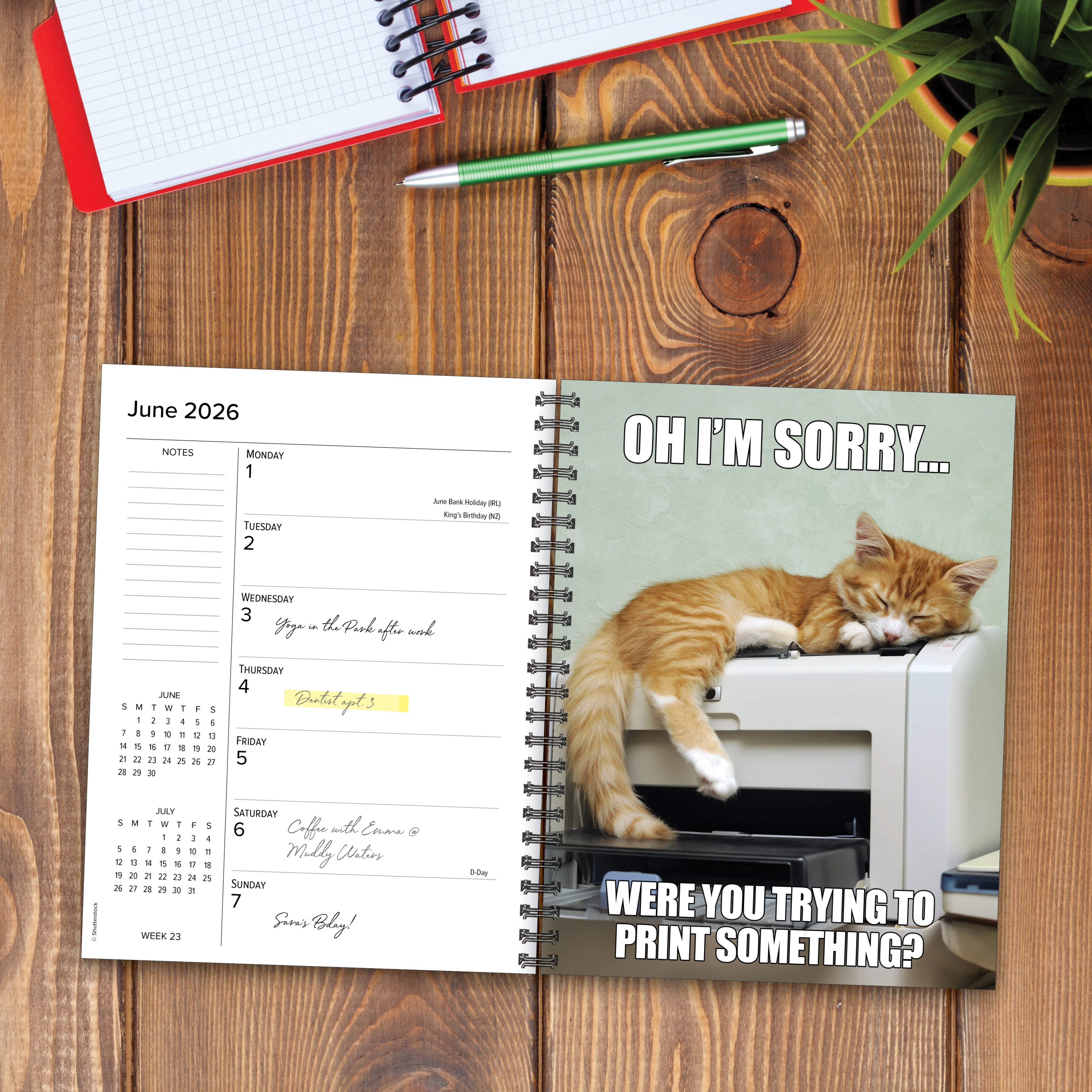 2026 Cat-astrophe - Weekly Diary/Planner