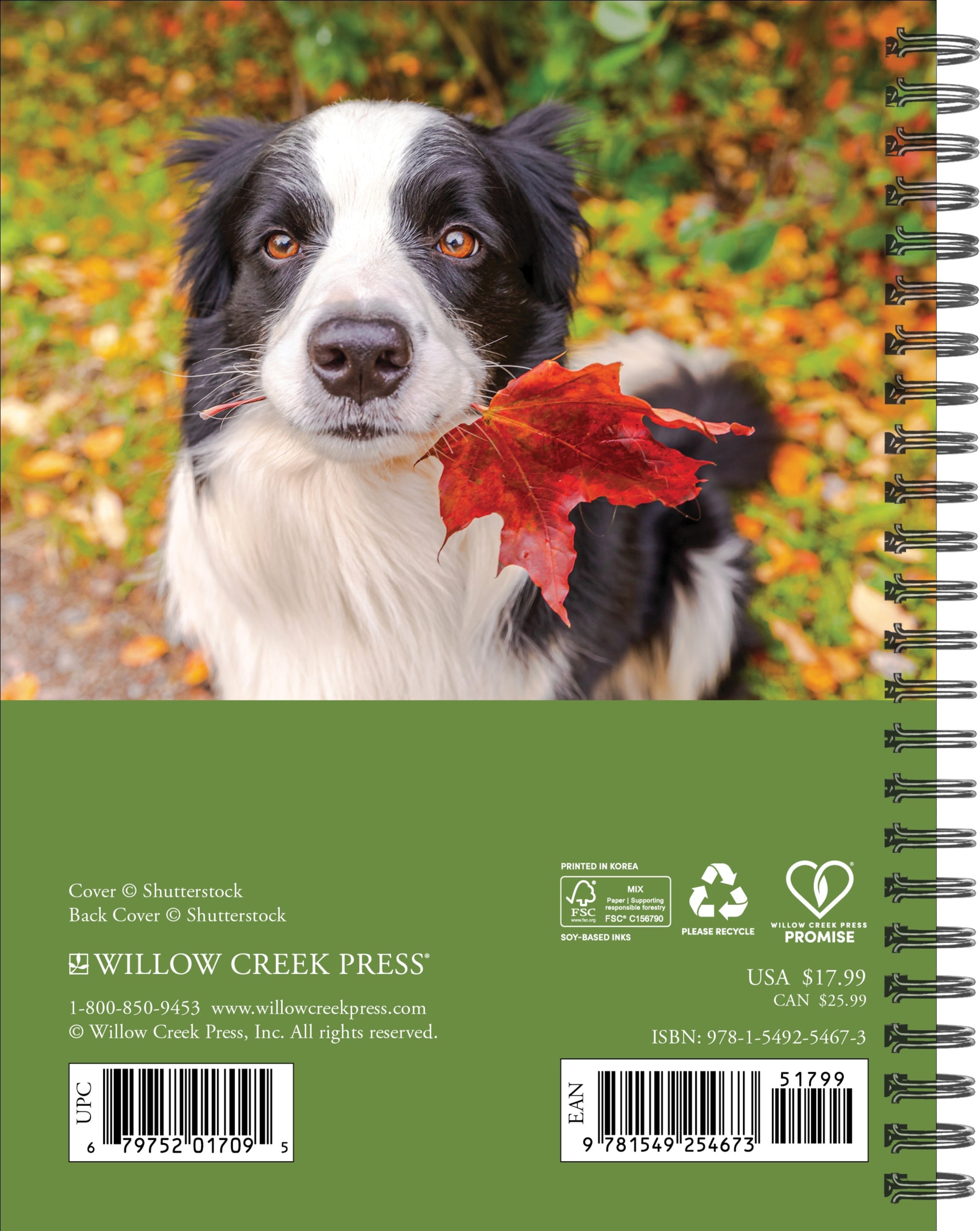 2026 What Dogs Teach Us - Weekly Diary/Planner