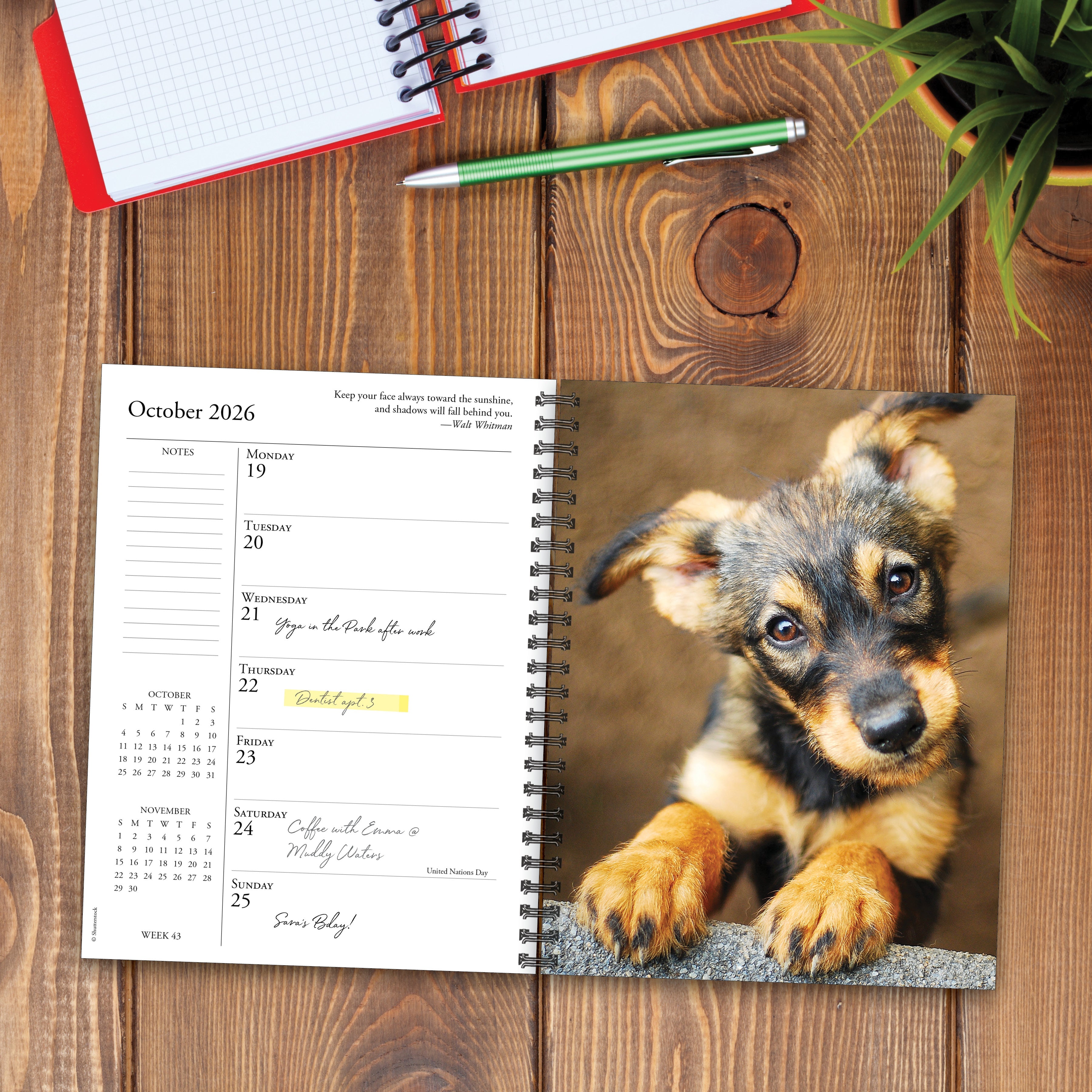 2026 What Dogs Teach Us - Weekly Diary/Planner