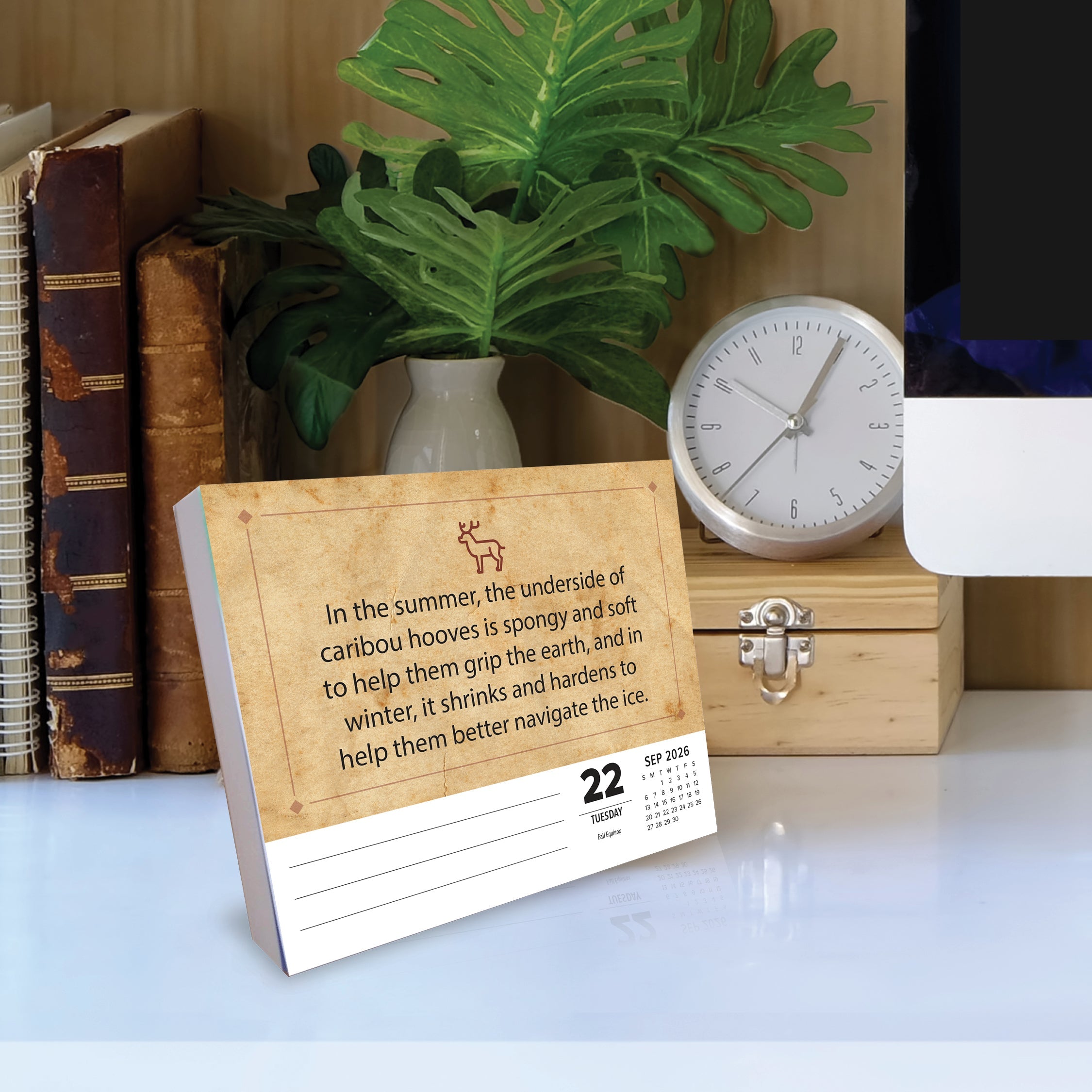 2026 Awesome Animal Facts - Boxed Page-A-Day Calendar