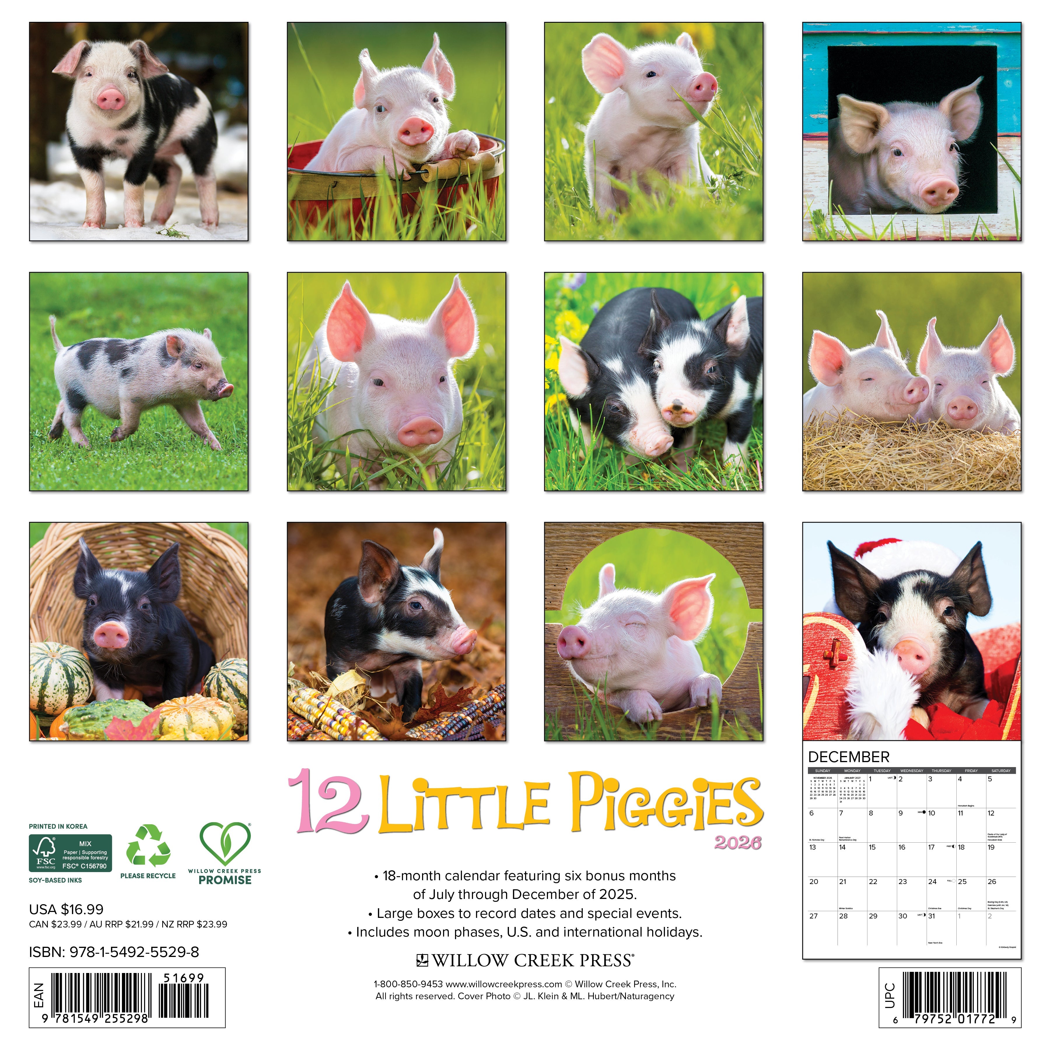 2026 12 Little Piggies - Square Wall Calendar