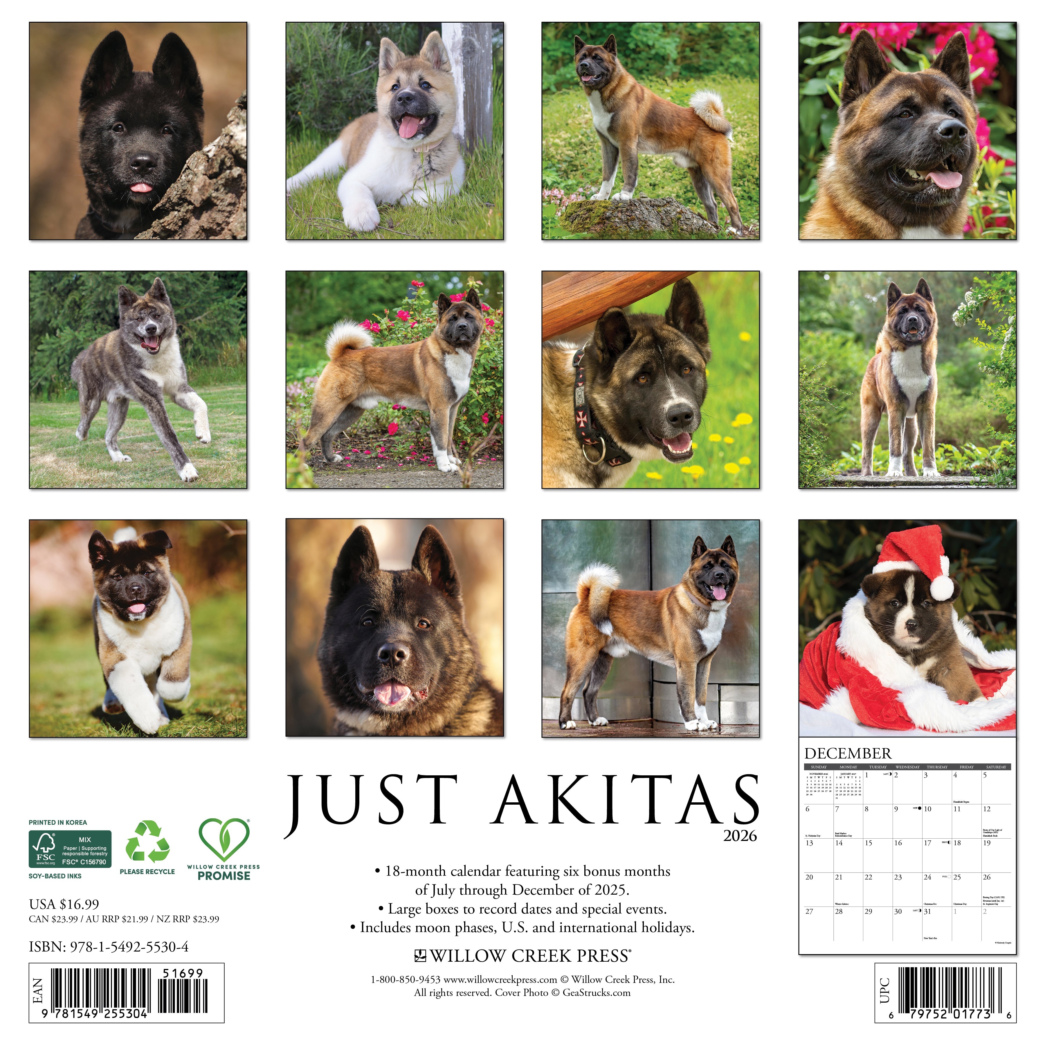 2026 Akitas - Square Wall Calendar