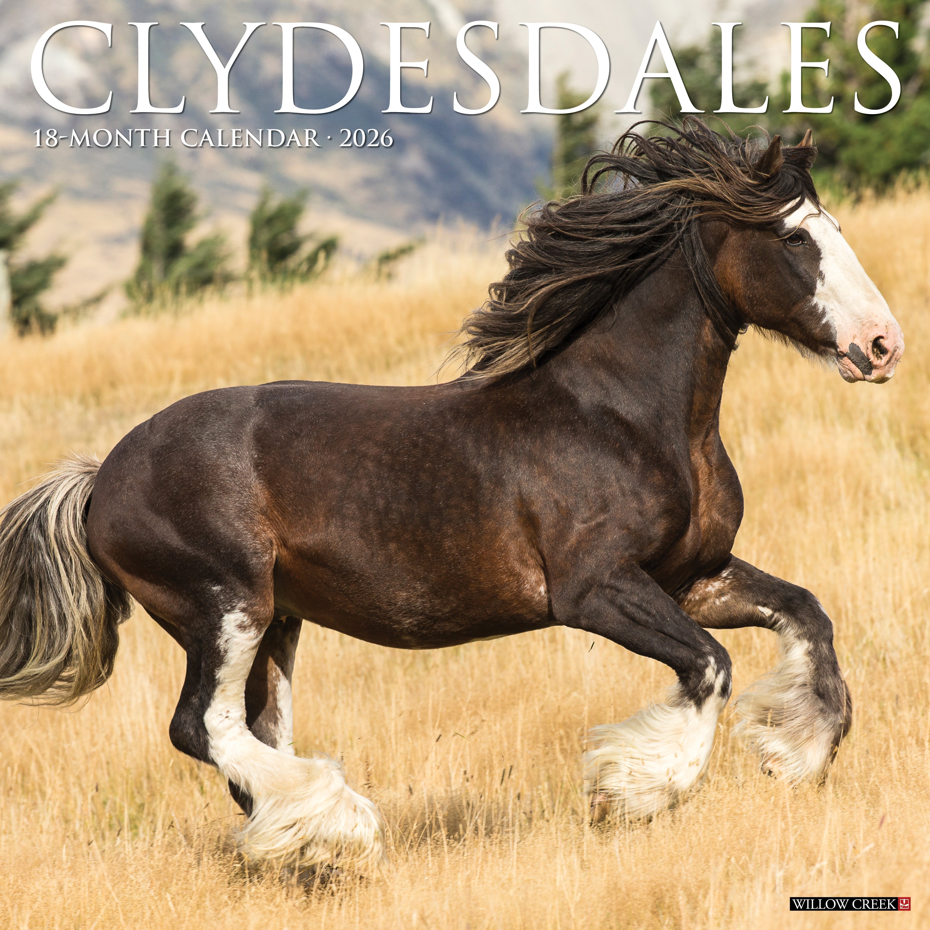 2026 Clydesdales - Square Wall Calendar