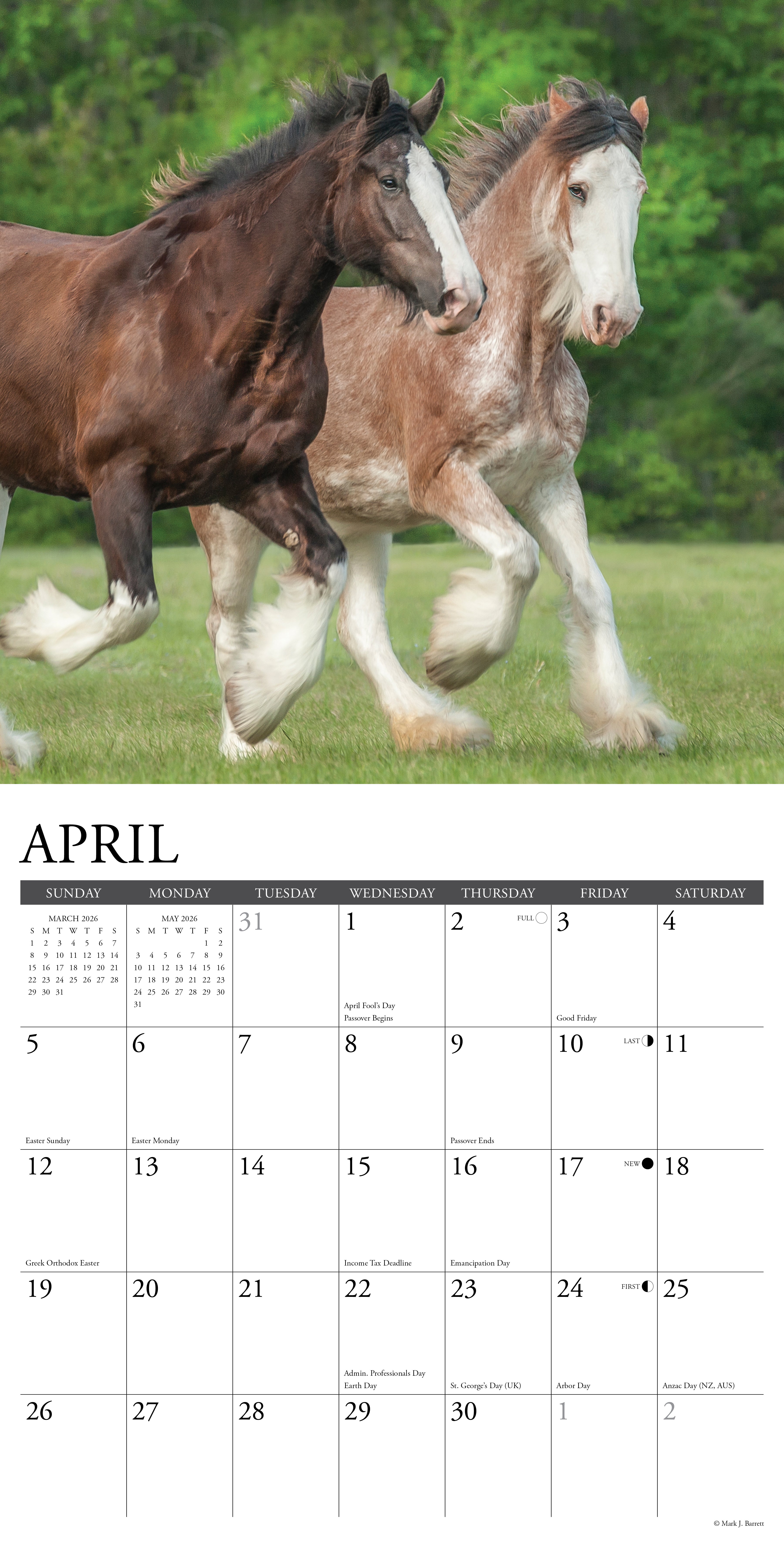 2026 Clydesdales - Square Wall Calendar