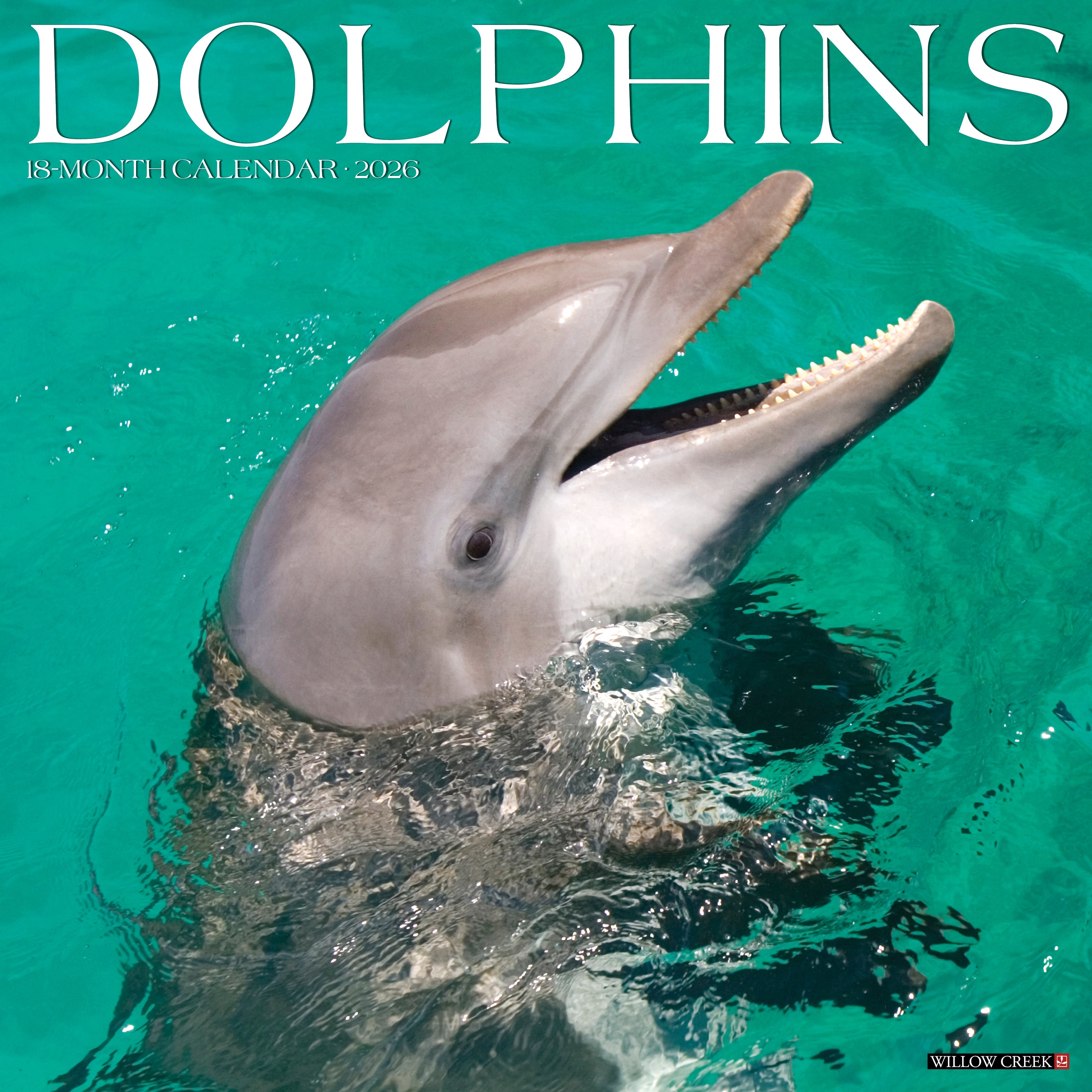 2026 Dolphins - Square Wall Calendar