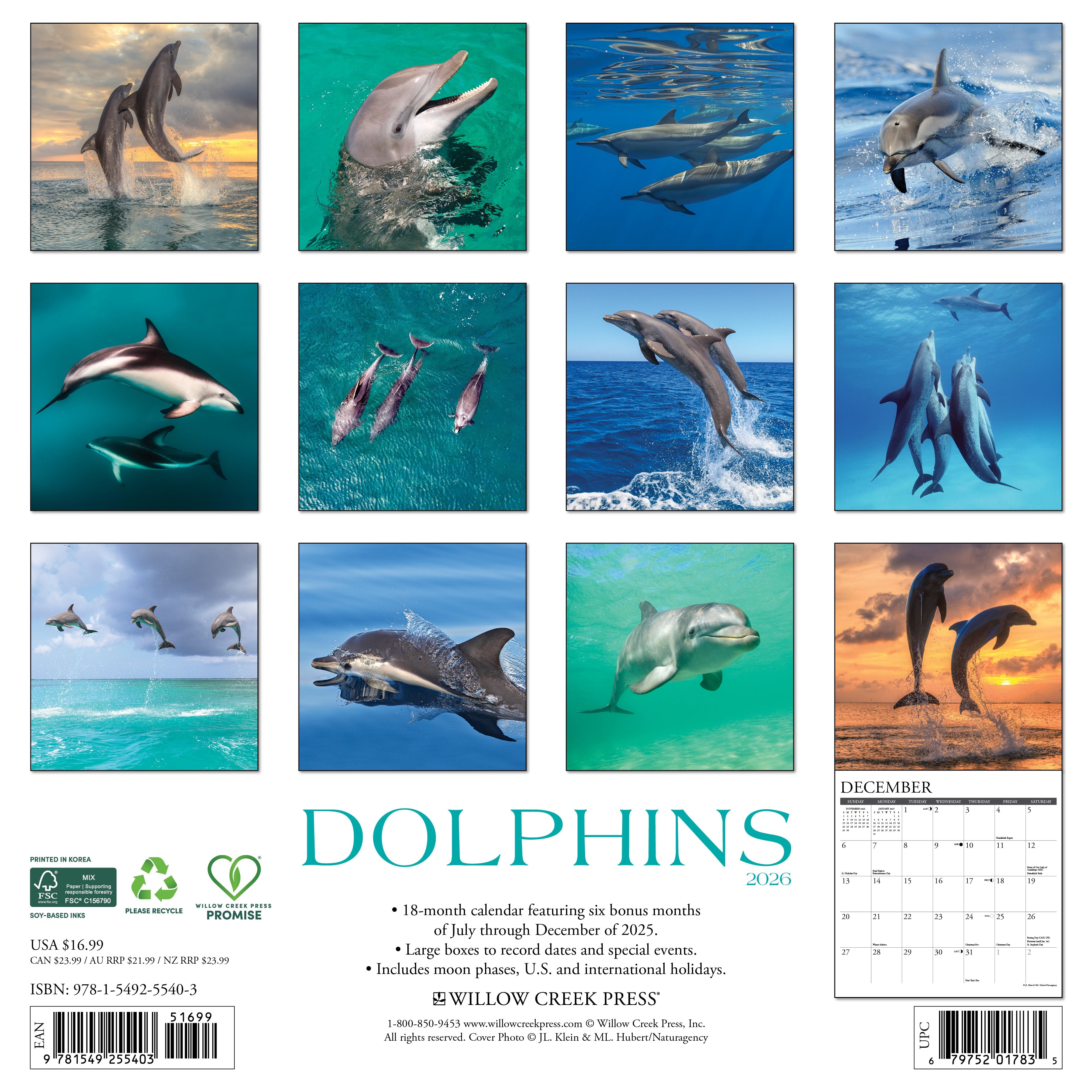 2026 Dolphins - Square Wall Calendar