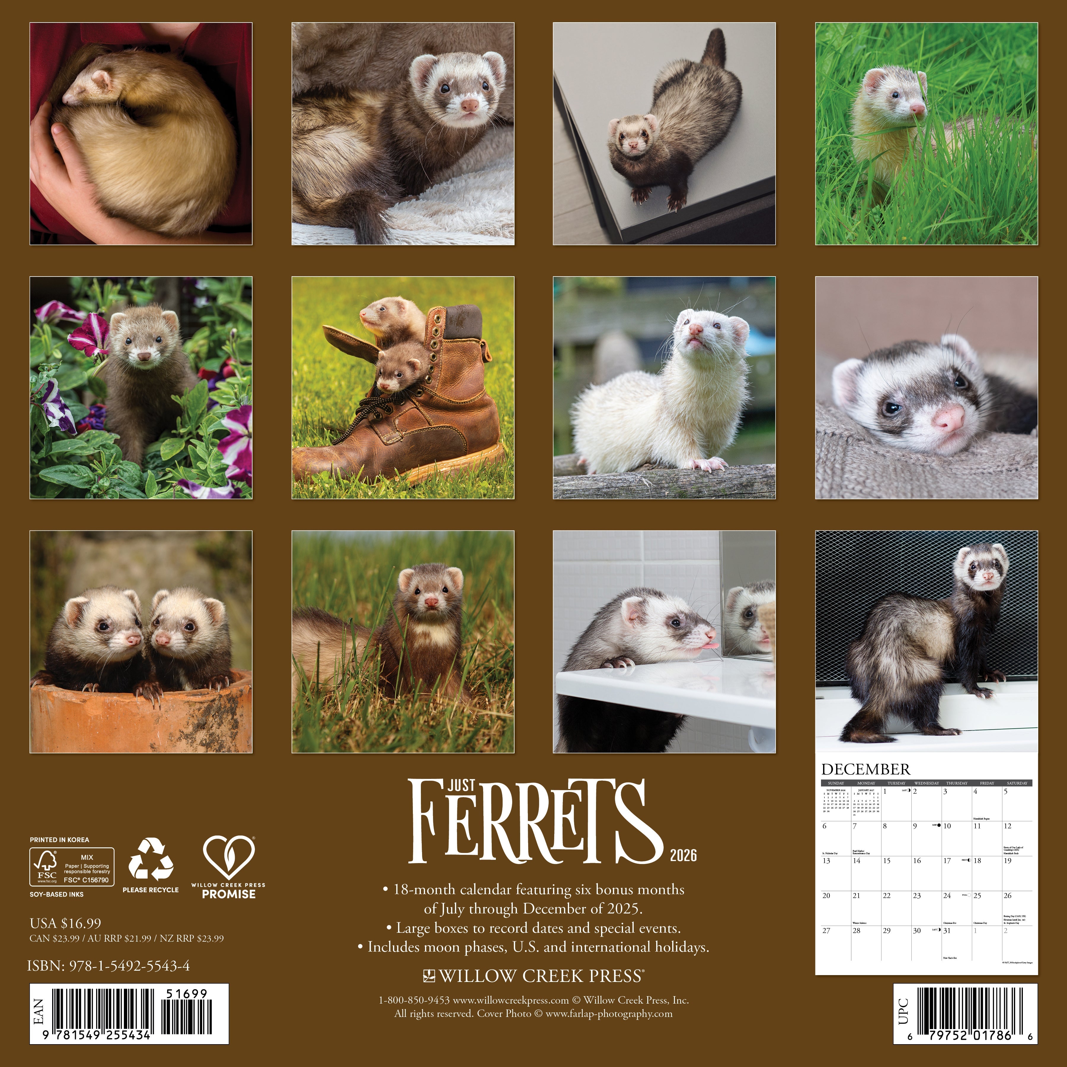 2026 Ferrets - Square Wall Calendar
