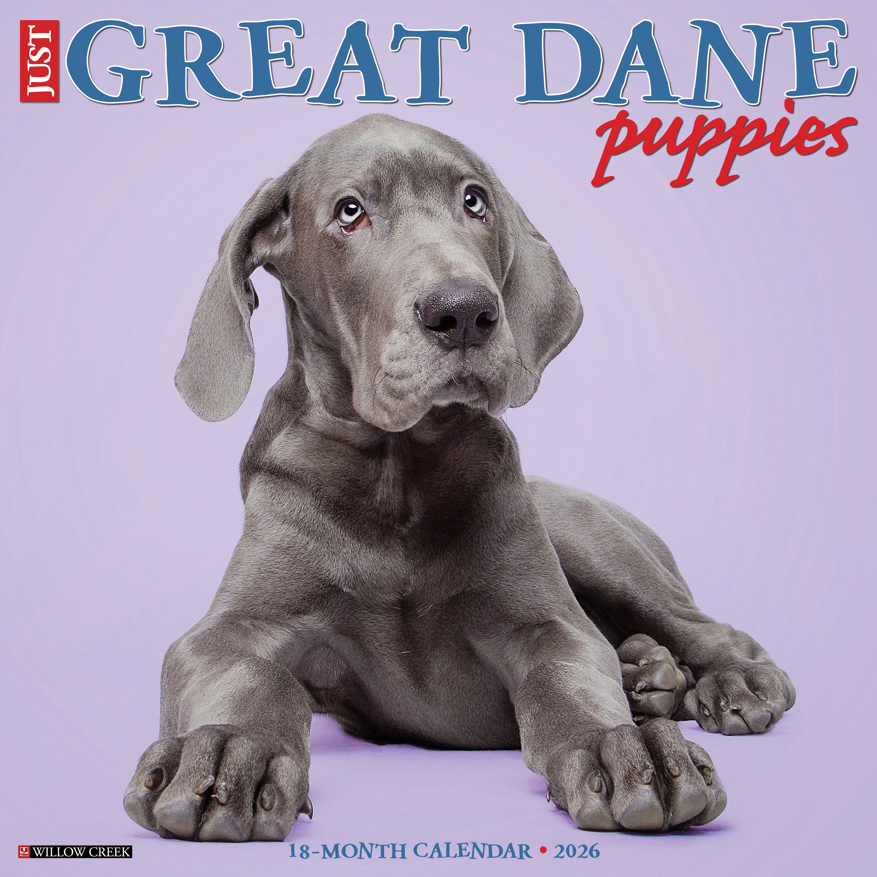 2026 Great Dane Puppies - Square Wall Calendar
