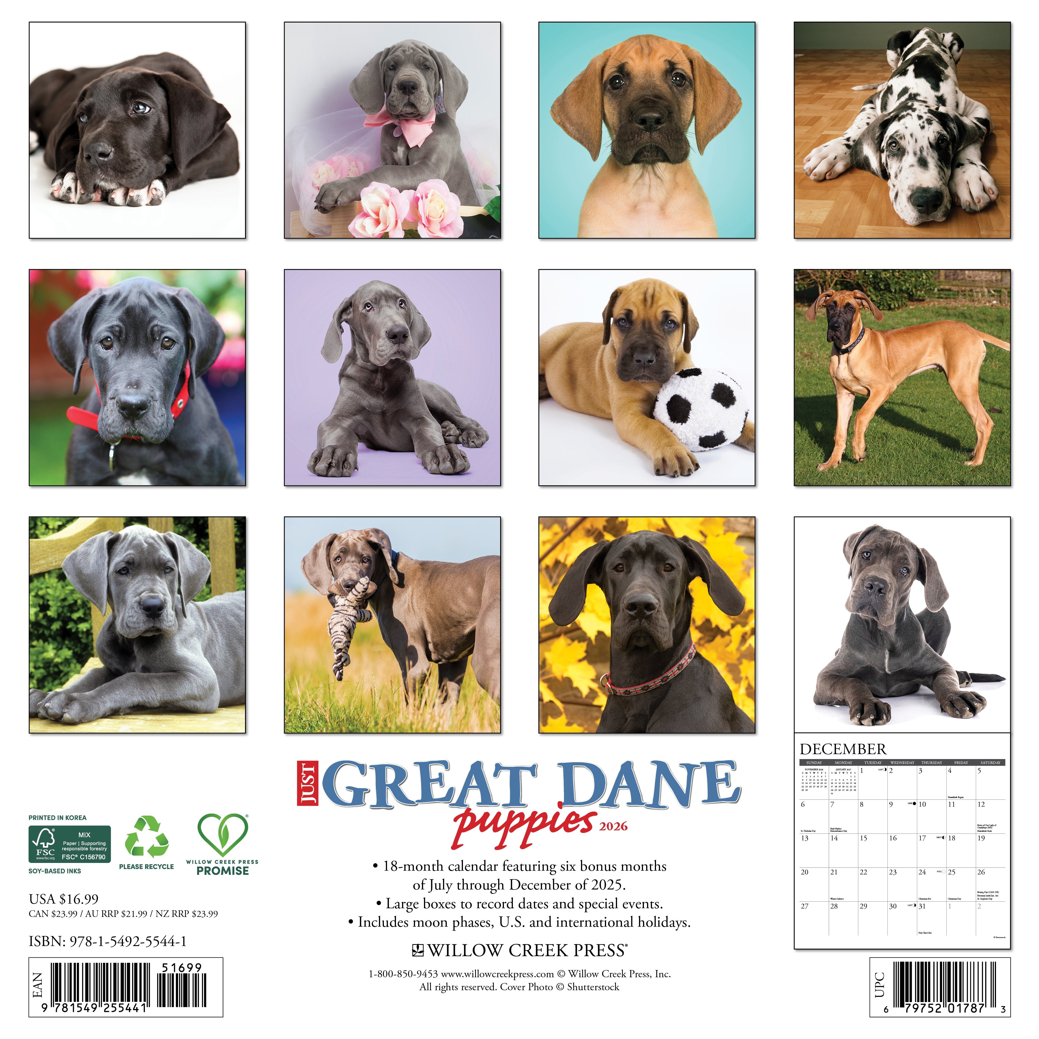 2026 Great Dane Puppies - Square Wall Calendar
