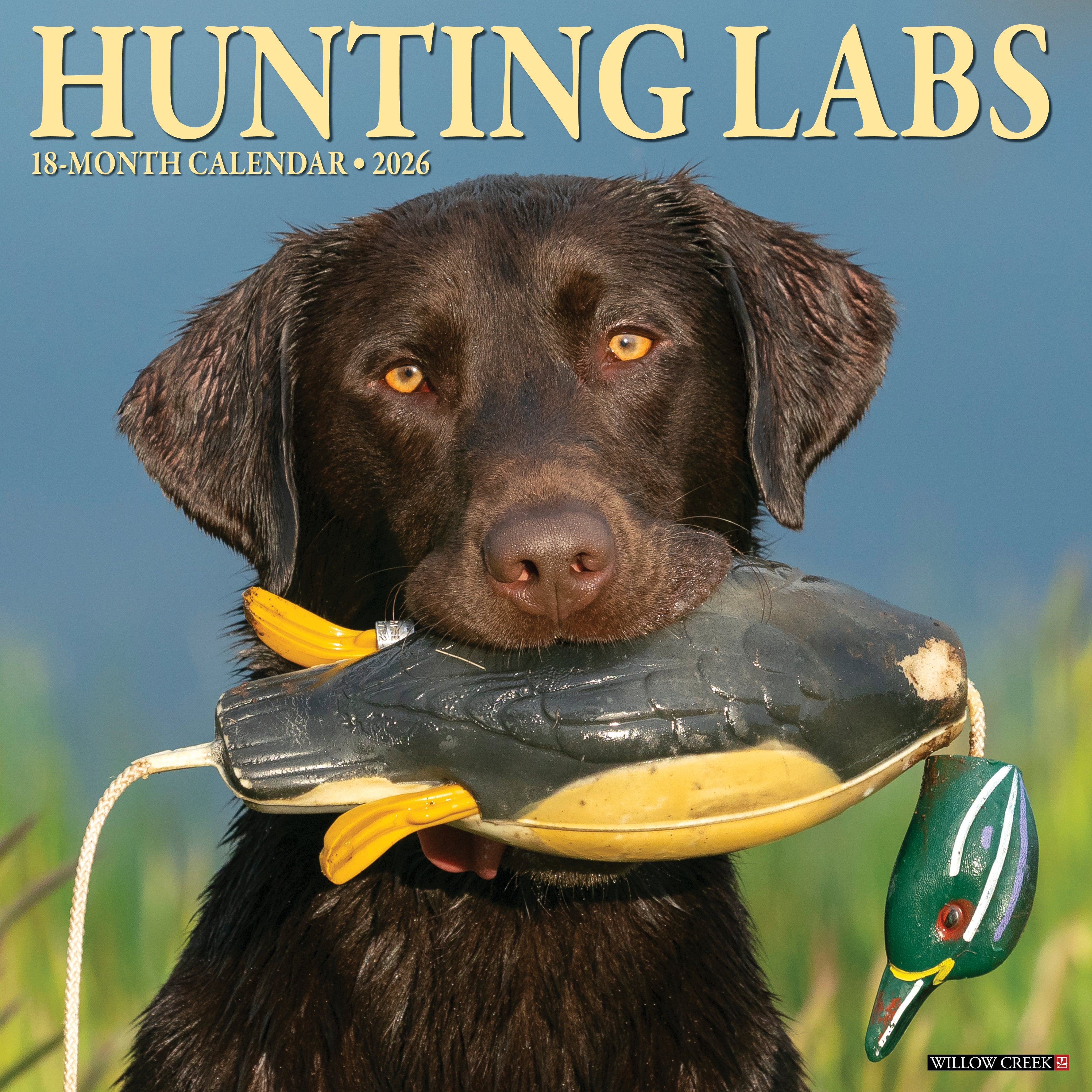 2026 Hunting Labs - Square Wall Calendar