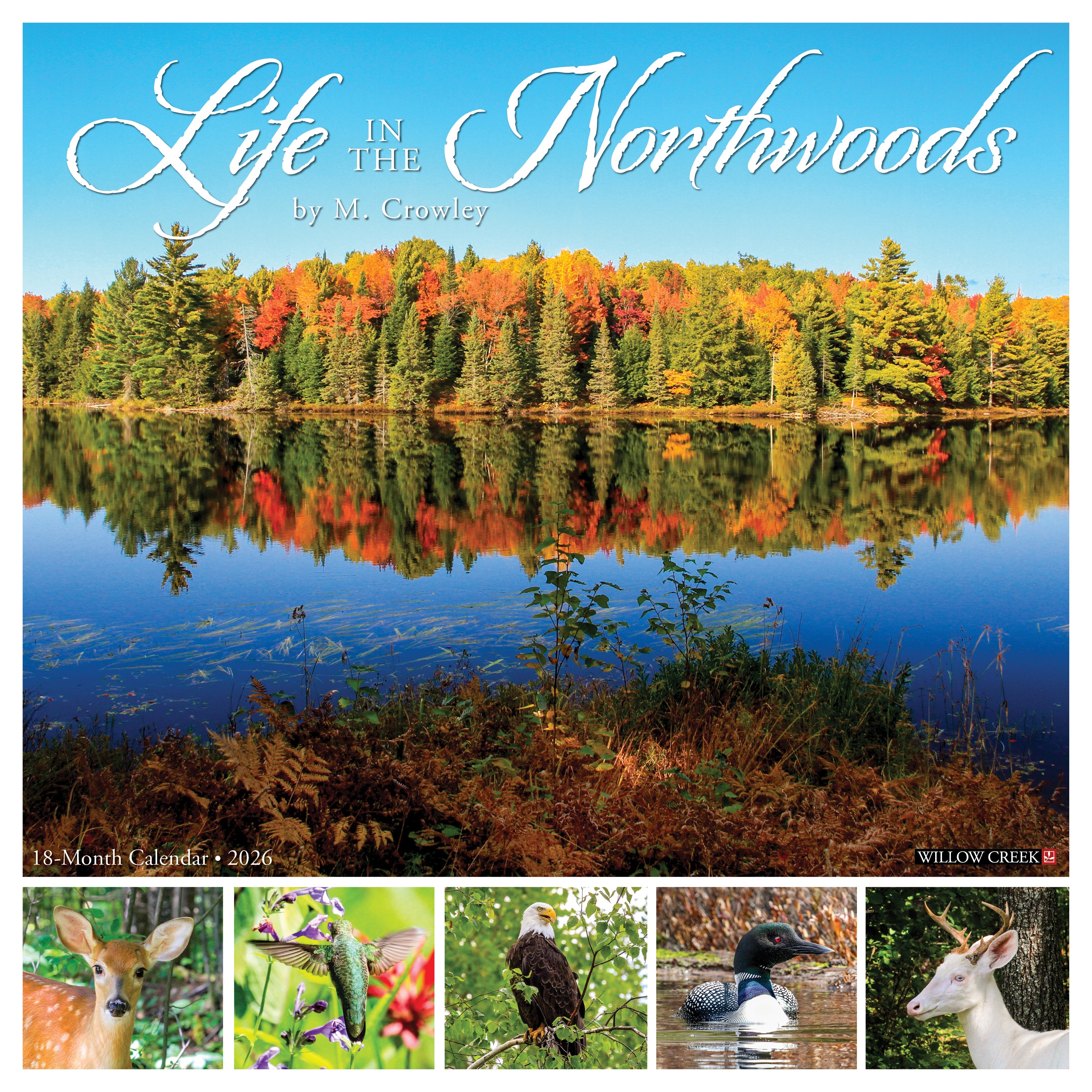 2026 Life in the Northwoods - Square Wall Calendar