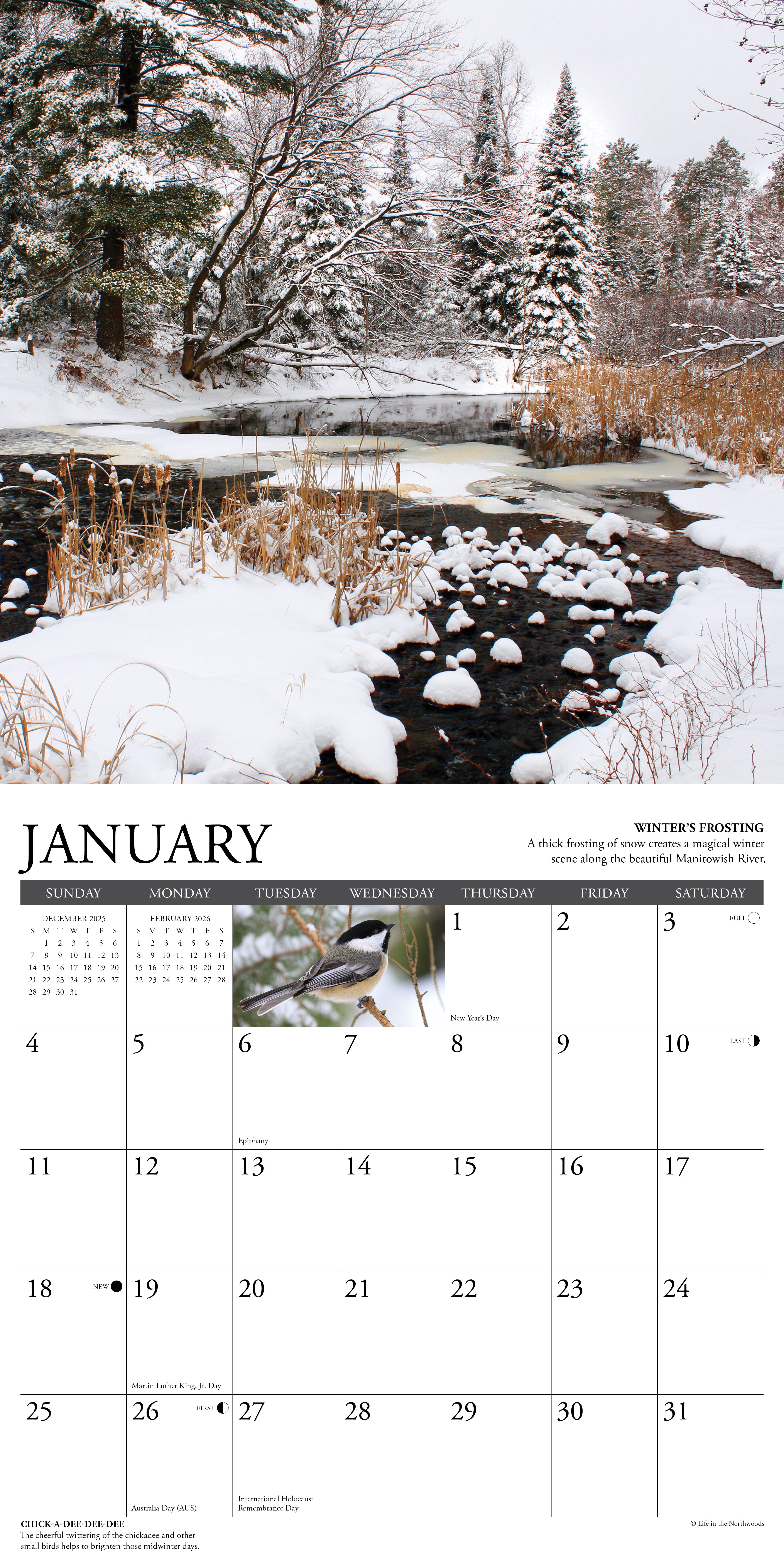 2026 Life in the Northwoods - Square Wall Calendar