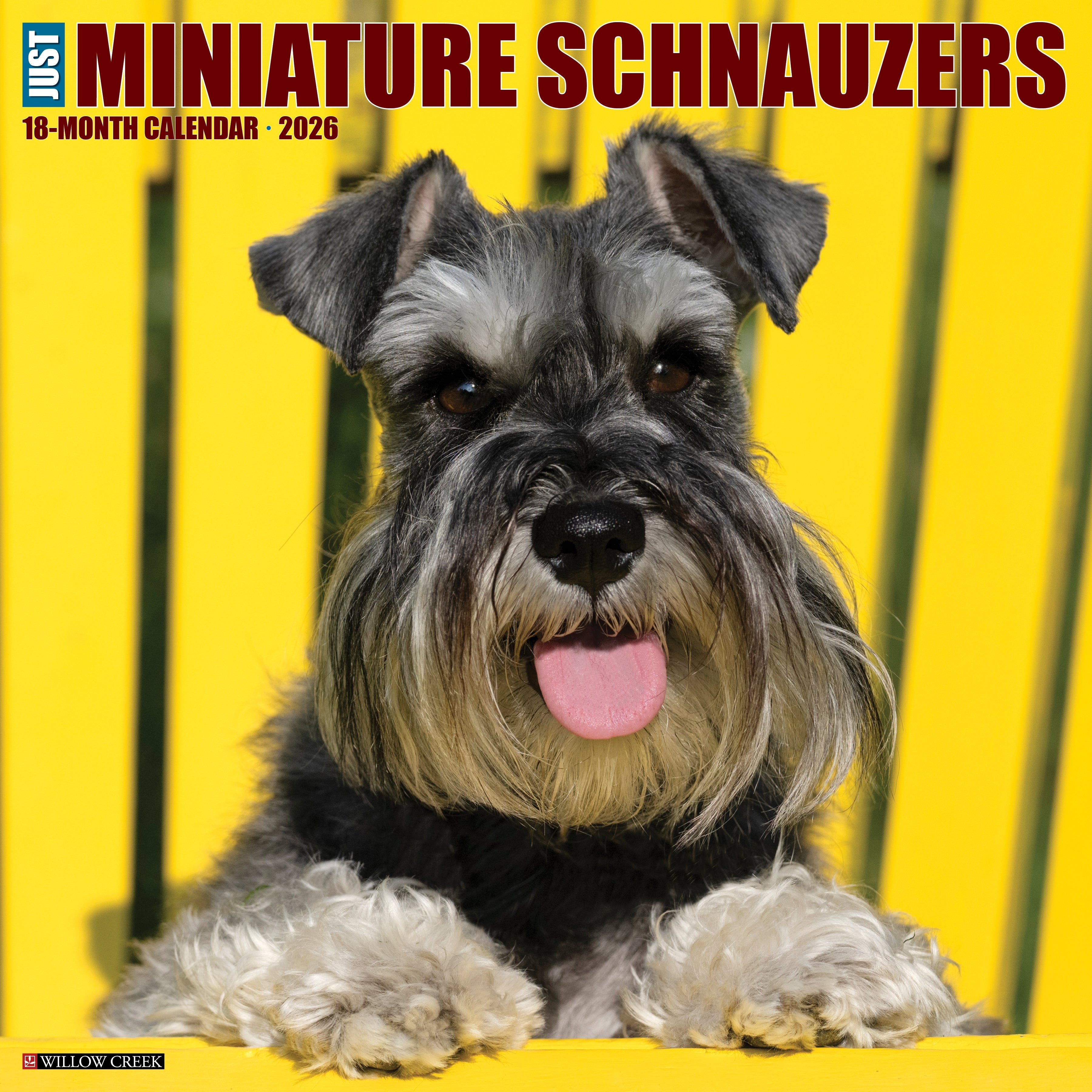 2026 Miniature Schnauzers - Square Wall Calendar