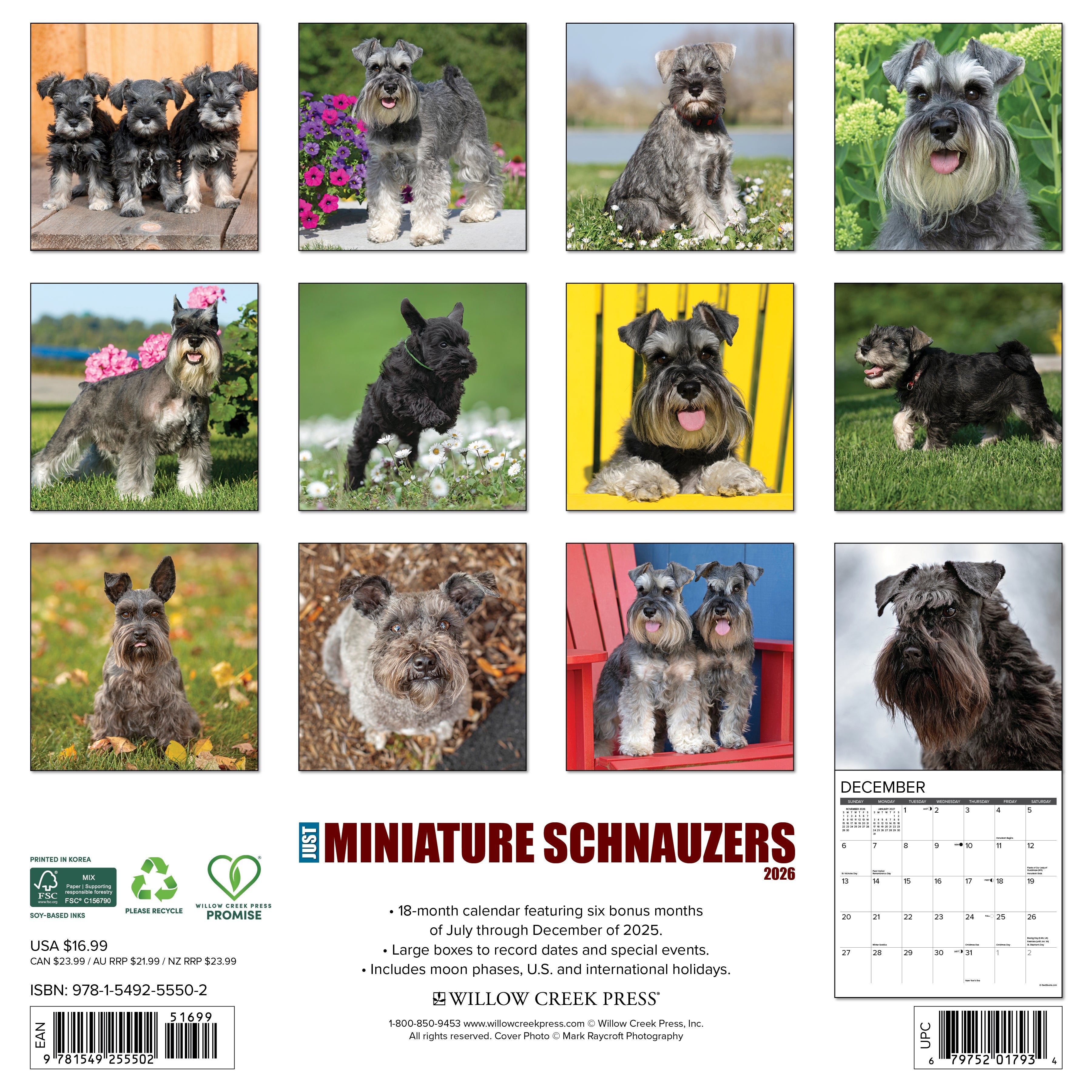 2026 Miniature Schnauzers - Square Wall Calendar