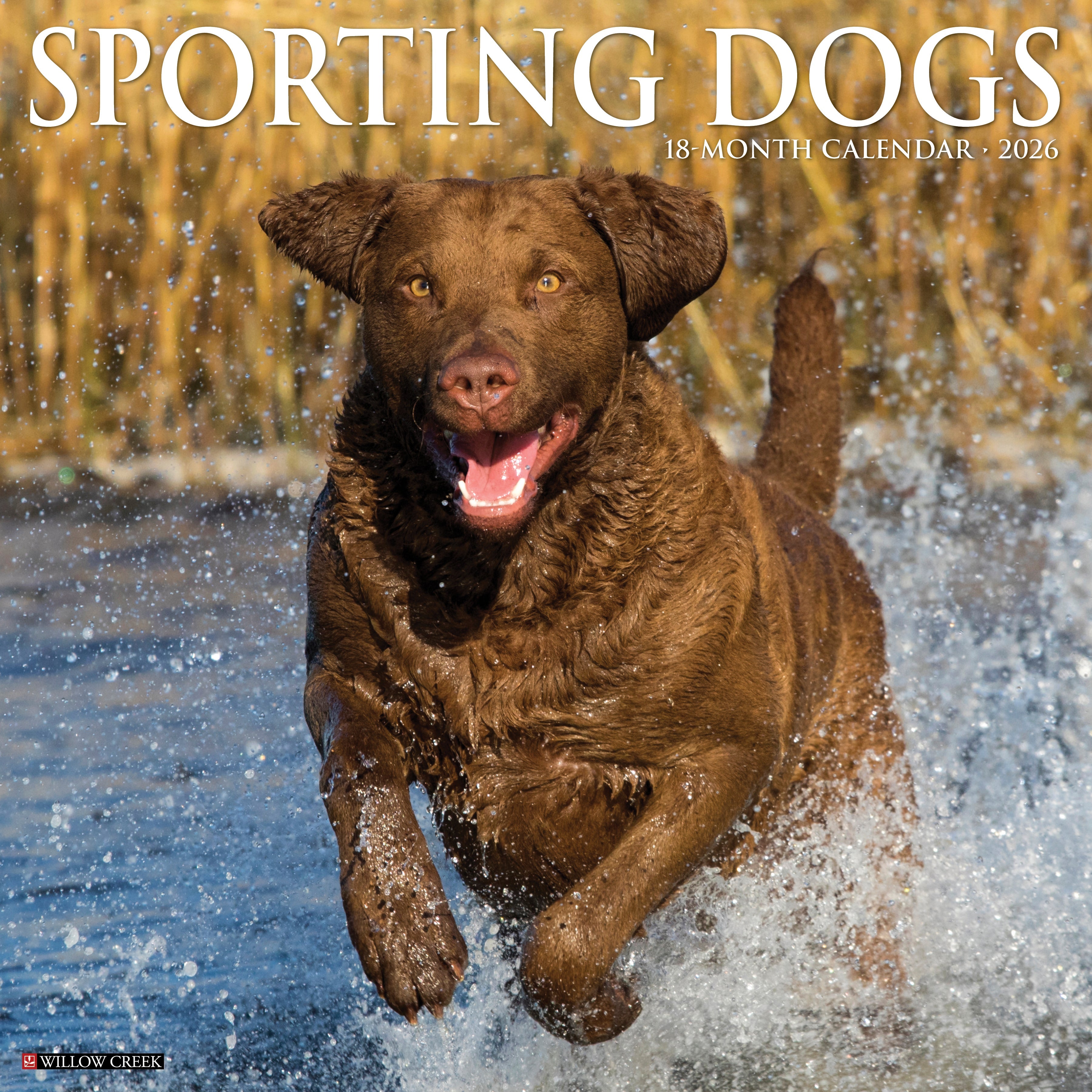 2026 Sporting Dogs - Square Wall Calendar