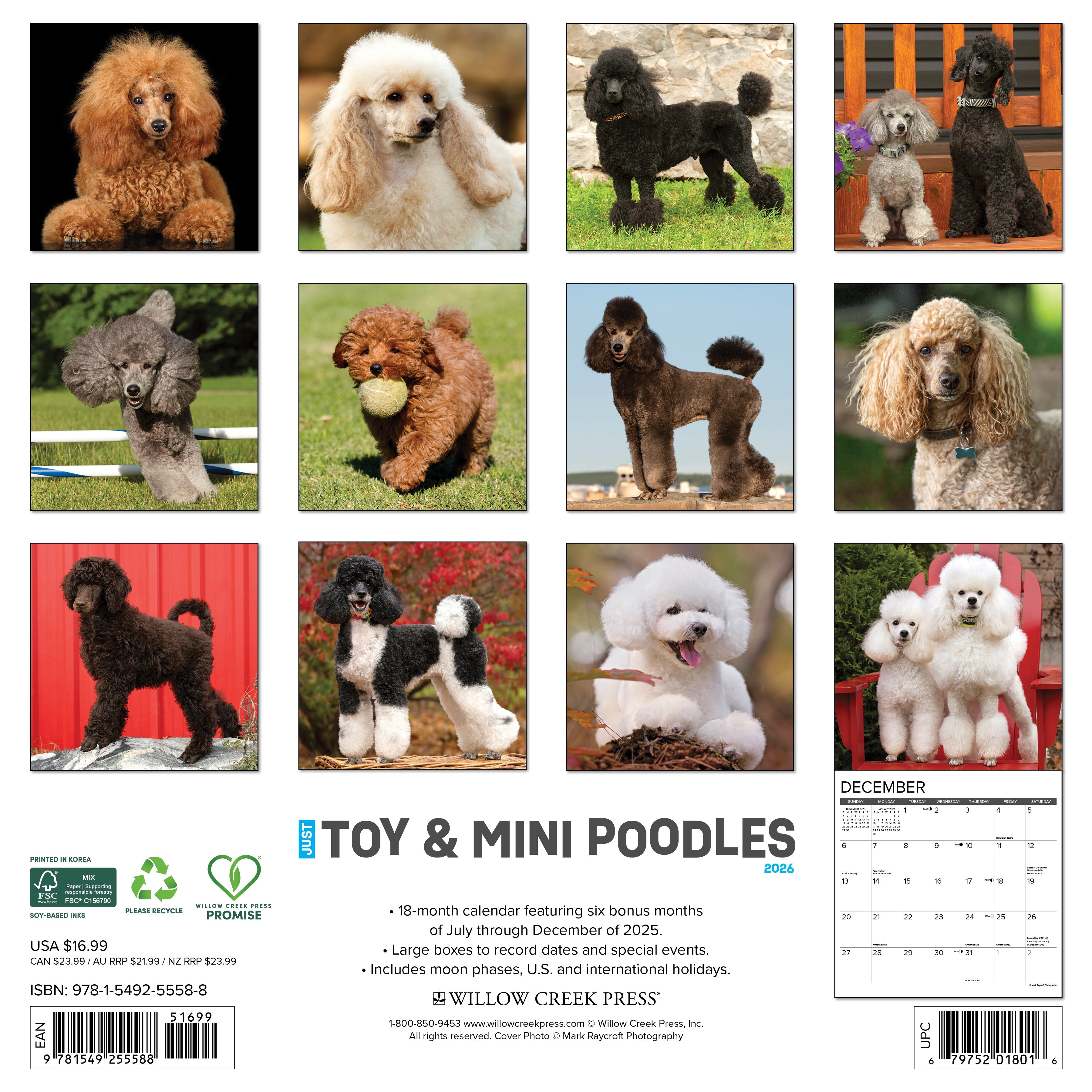 2026 Toy & Miniature Poodles - Square Wall Calendar