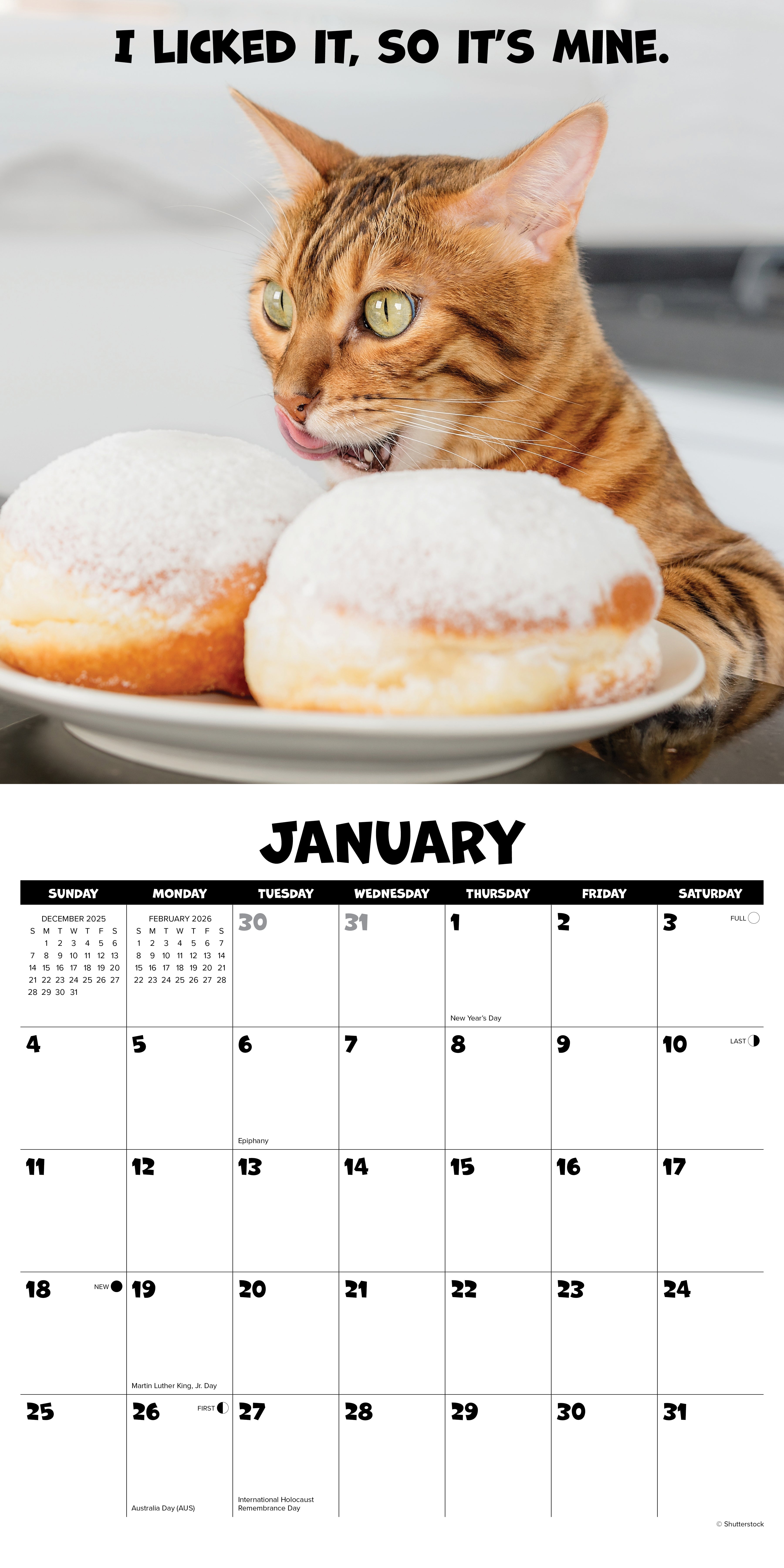 2026 Cat Chat - Square Wall Calendar