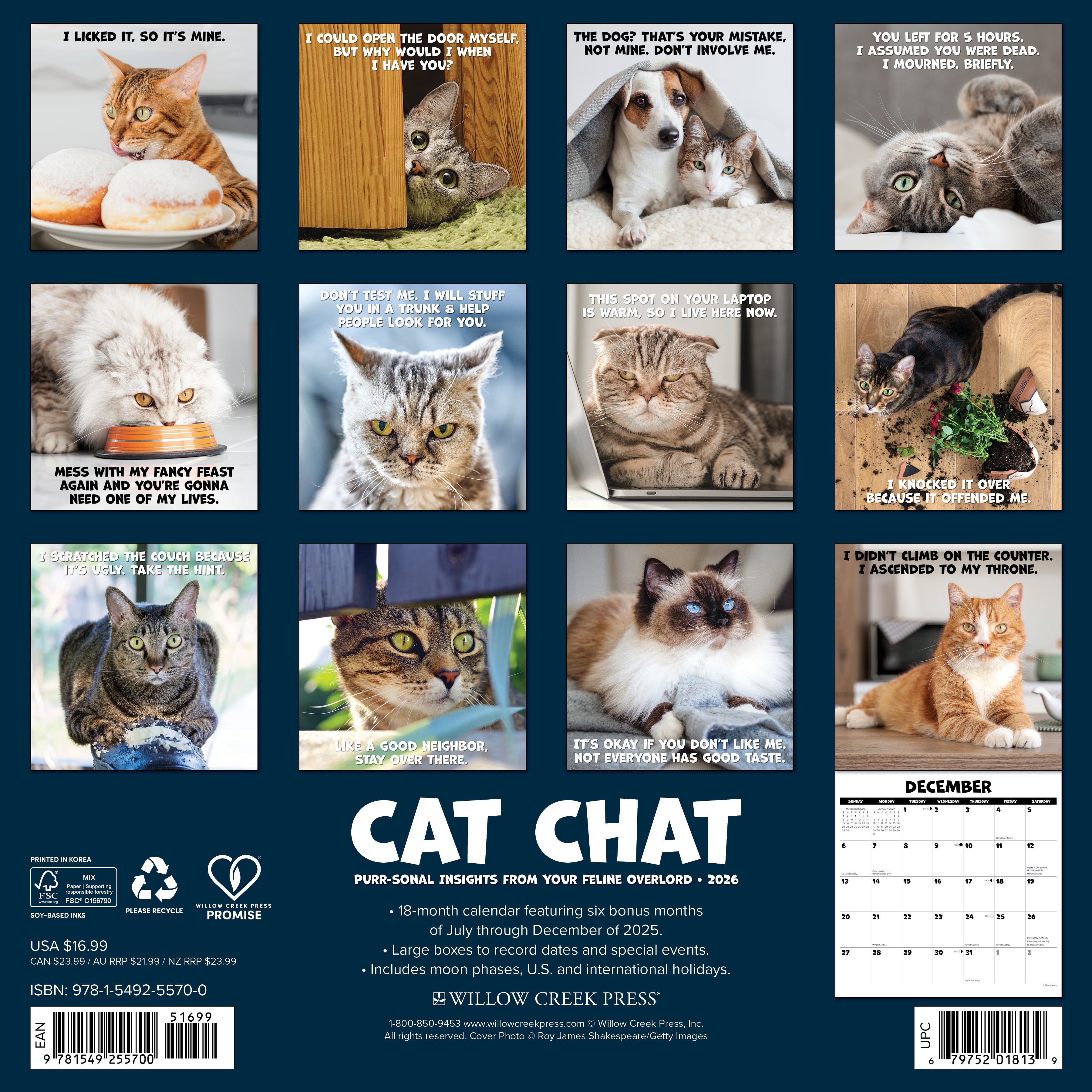 2026 Cat Chat - Square Wall Calendar