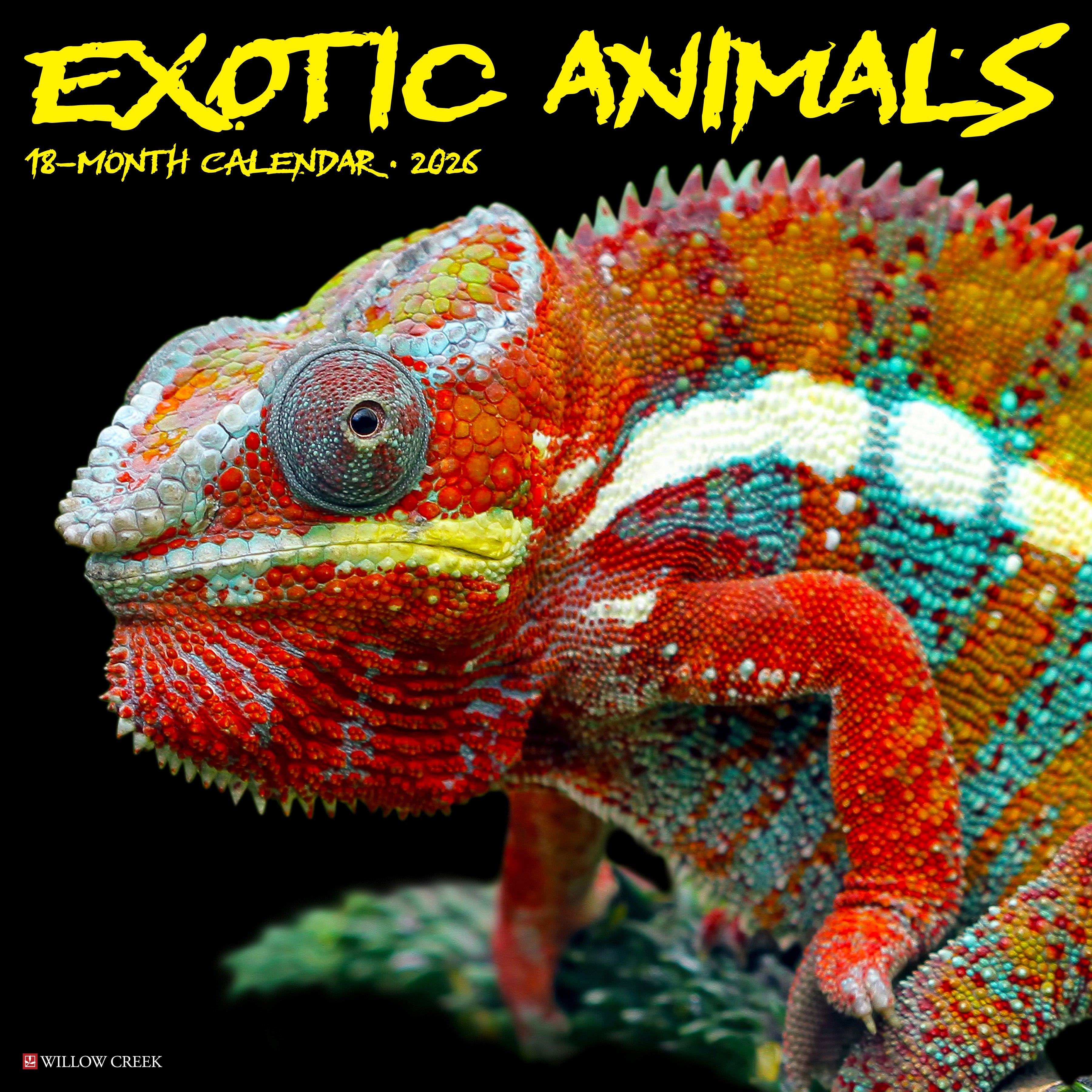 2026 Exotic Animals - Square Wall Calendar