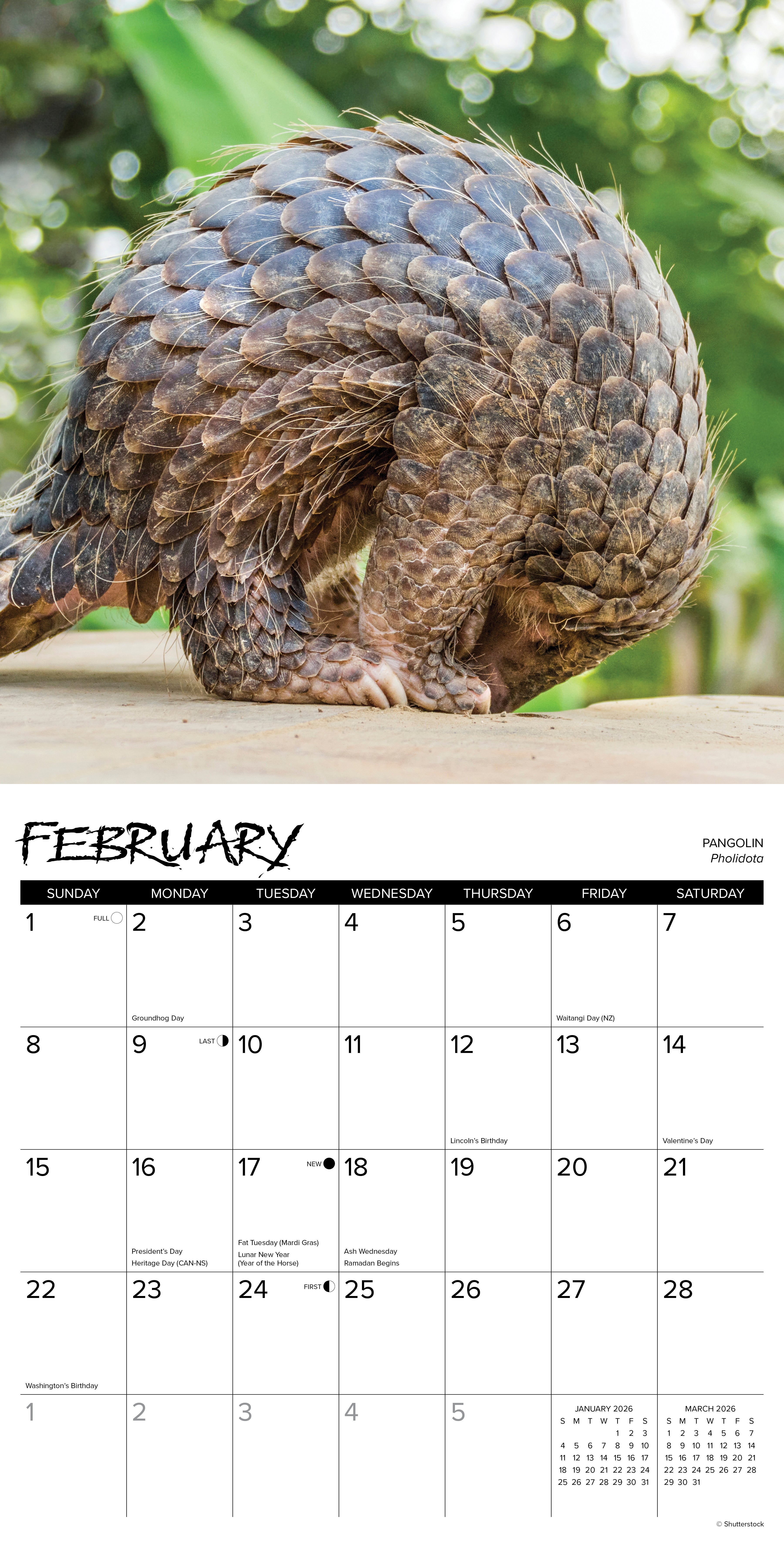 2026 Exotic Animals - Square Wall Calendar
