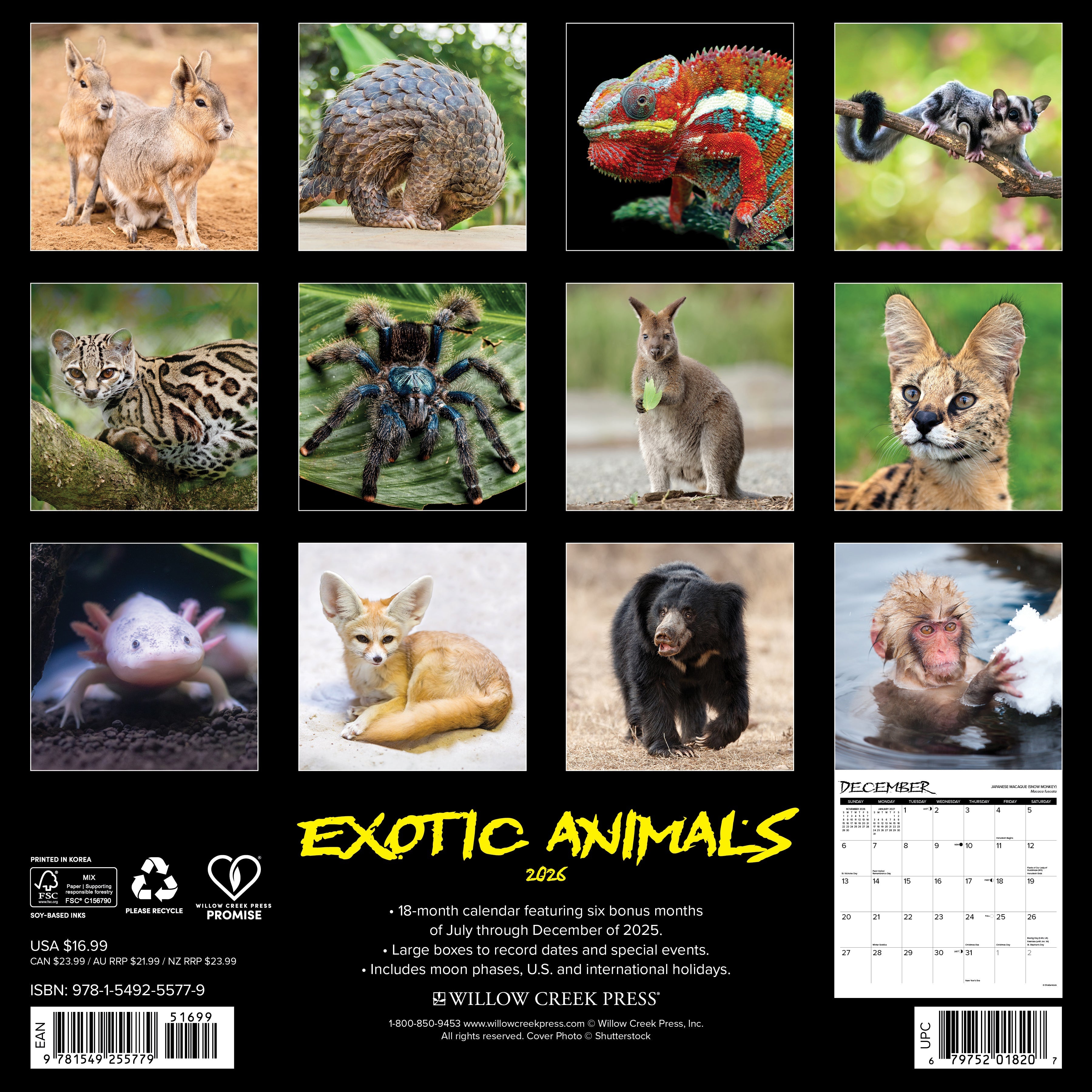 2026 Exotic Animals - Square Wall Calendar