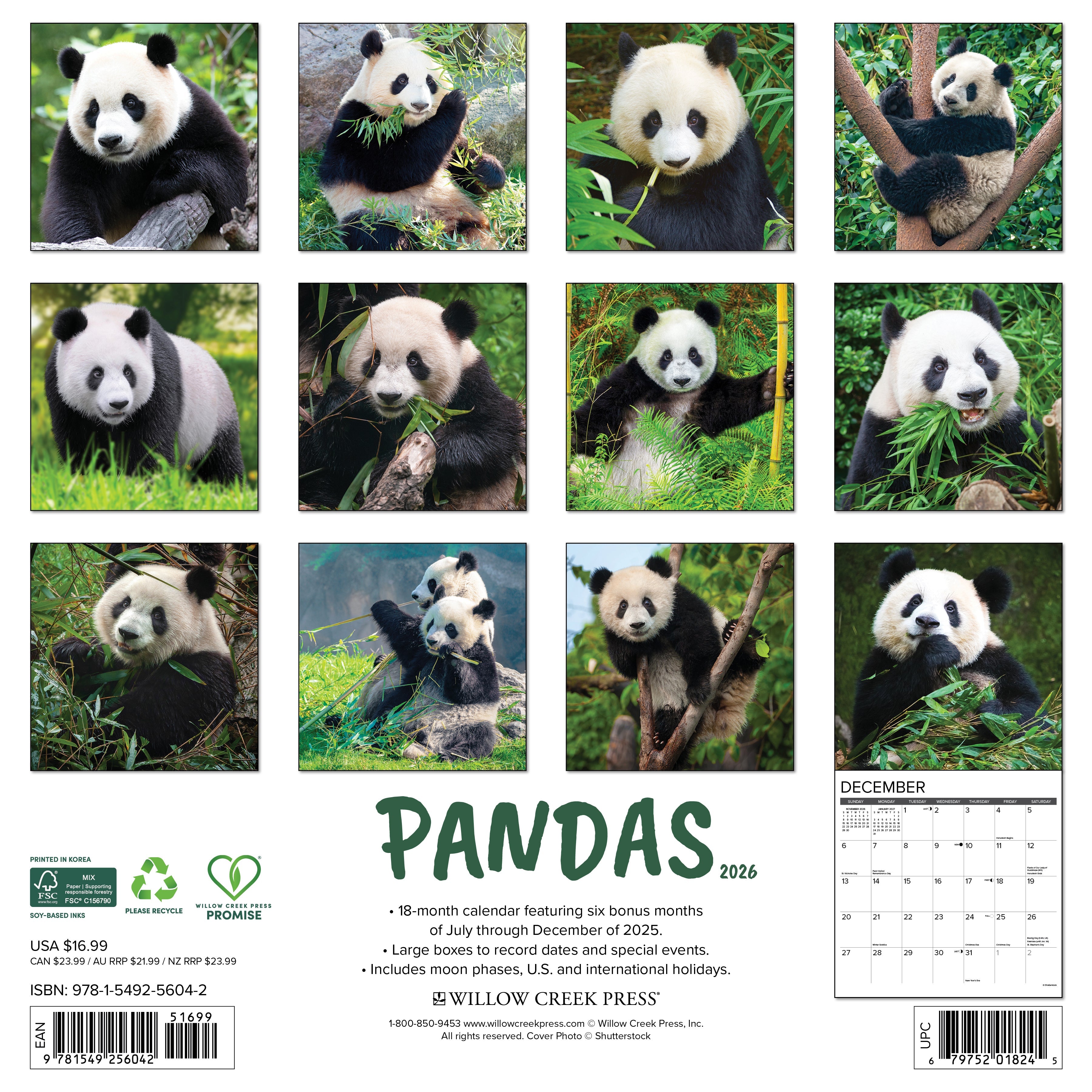 2026 Pandas - Square Wall Calendar