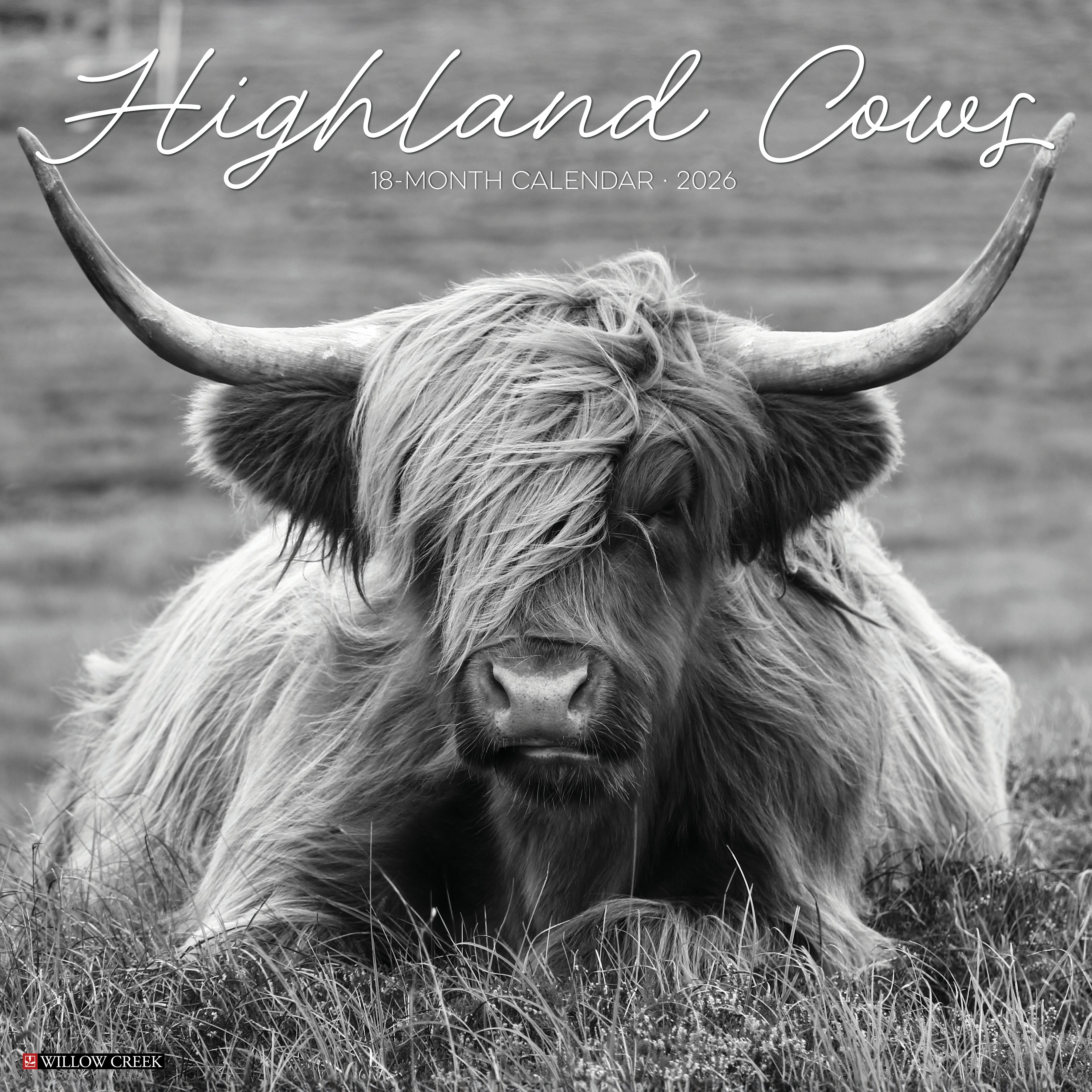 2026 Highland Cows (Black & White) - Square Wall Calendar