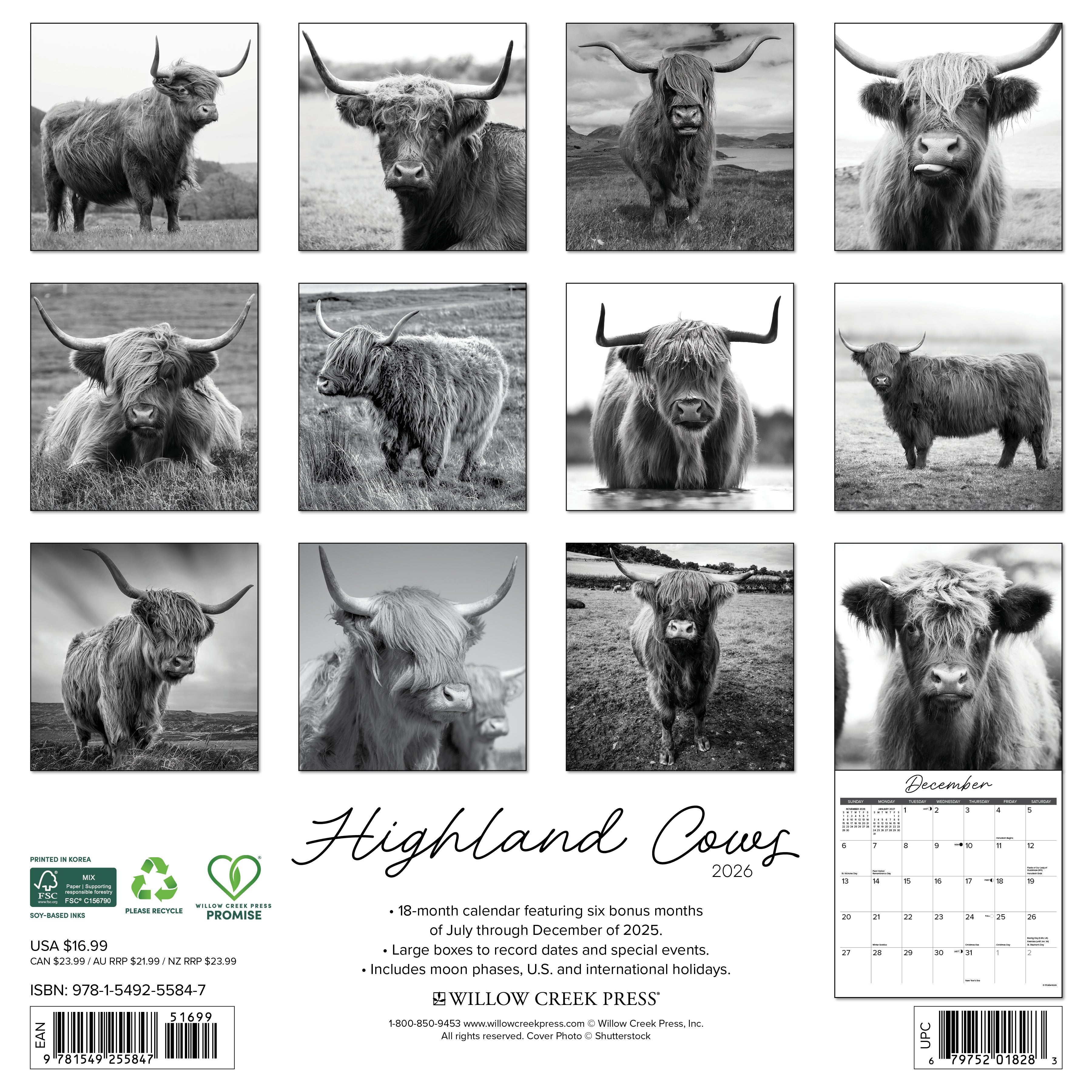 2026 Highland Cows (Black & White) - Square Wall Calendar