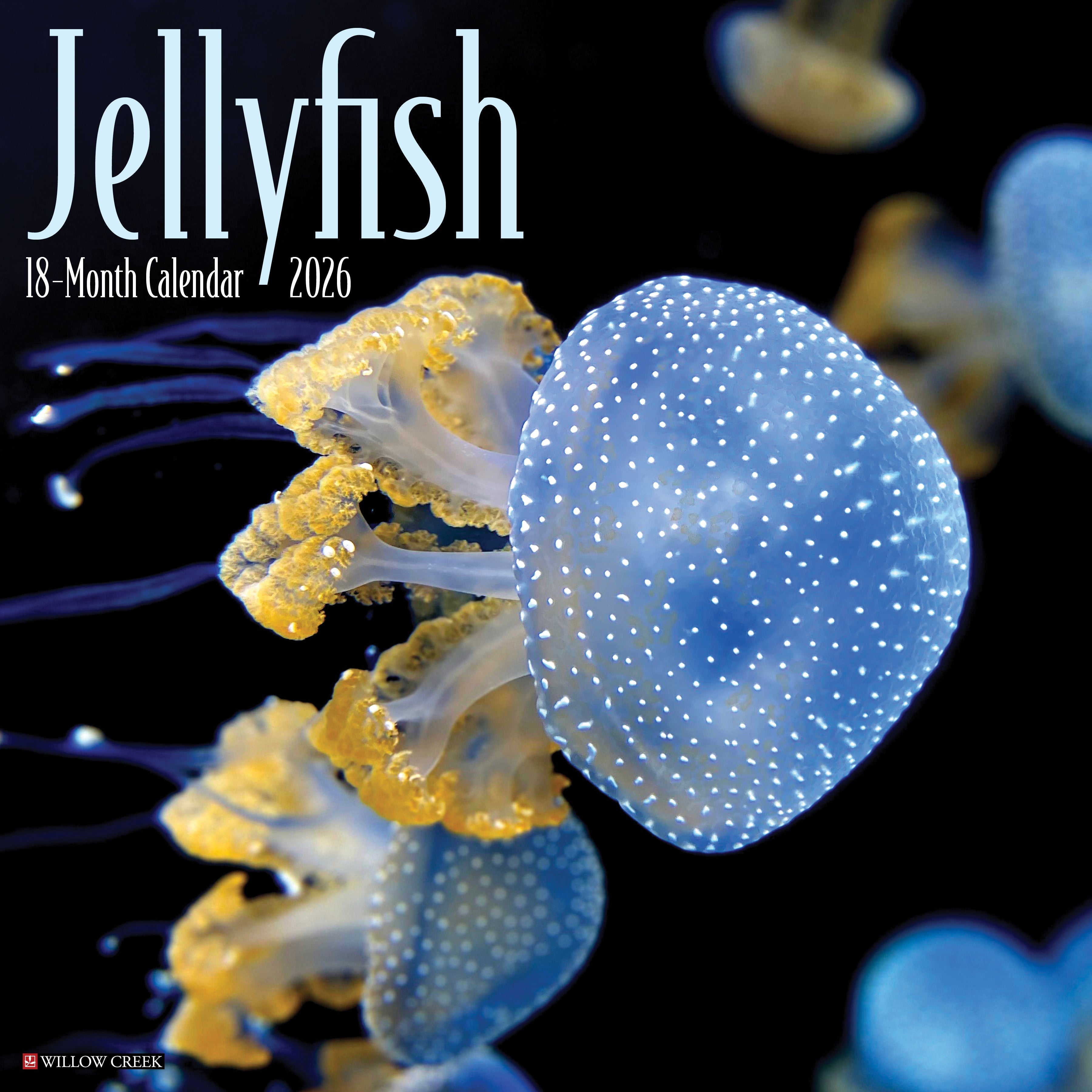 2026 Jellyfish - Square Wall Calendar
