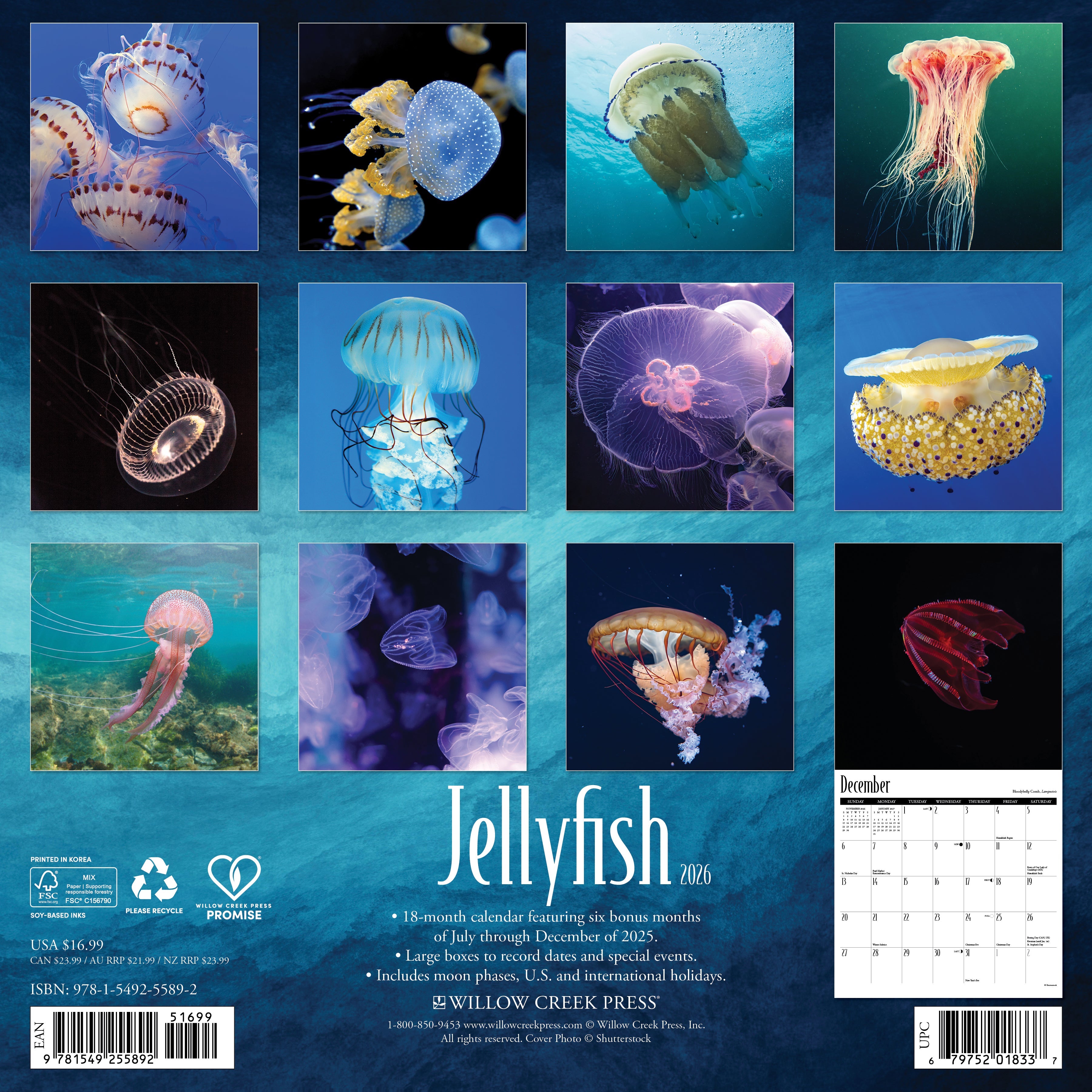 2026 Jellyfish - Square Wall Calendar
