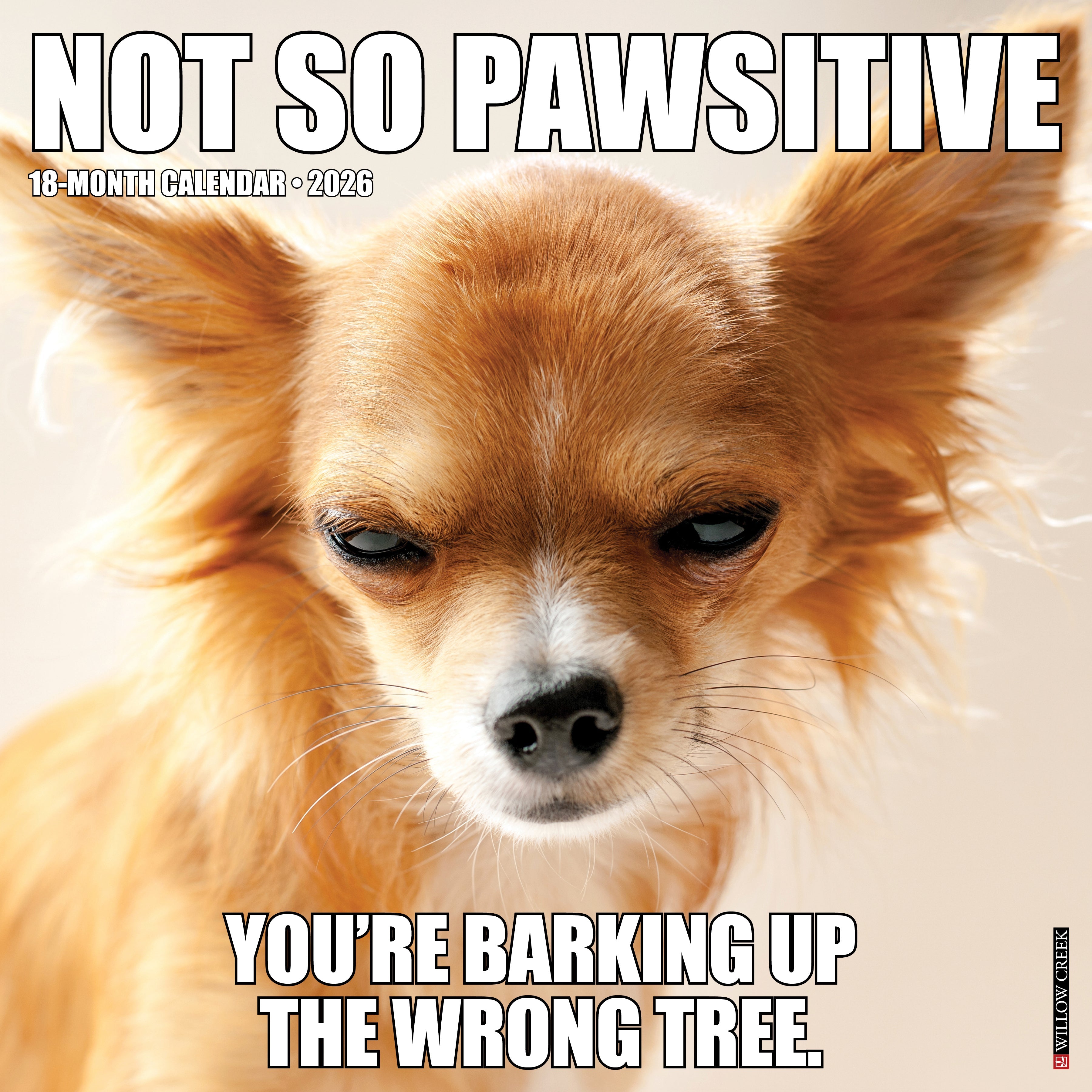 2026 Not So Pawsitive - Square Wall Calendar