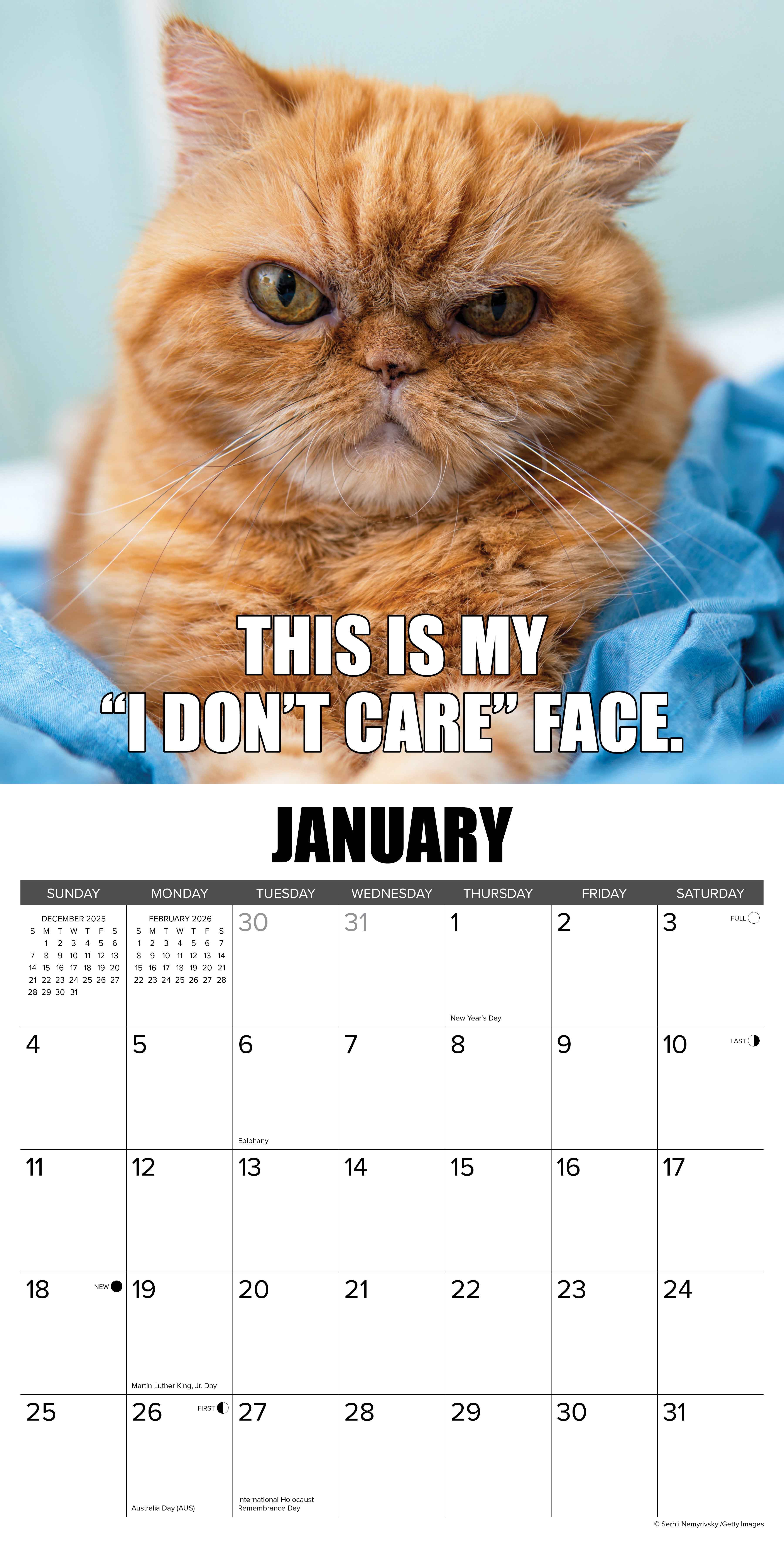 2026 Not So Pawsitive - Square Wall Calendar