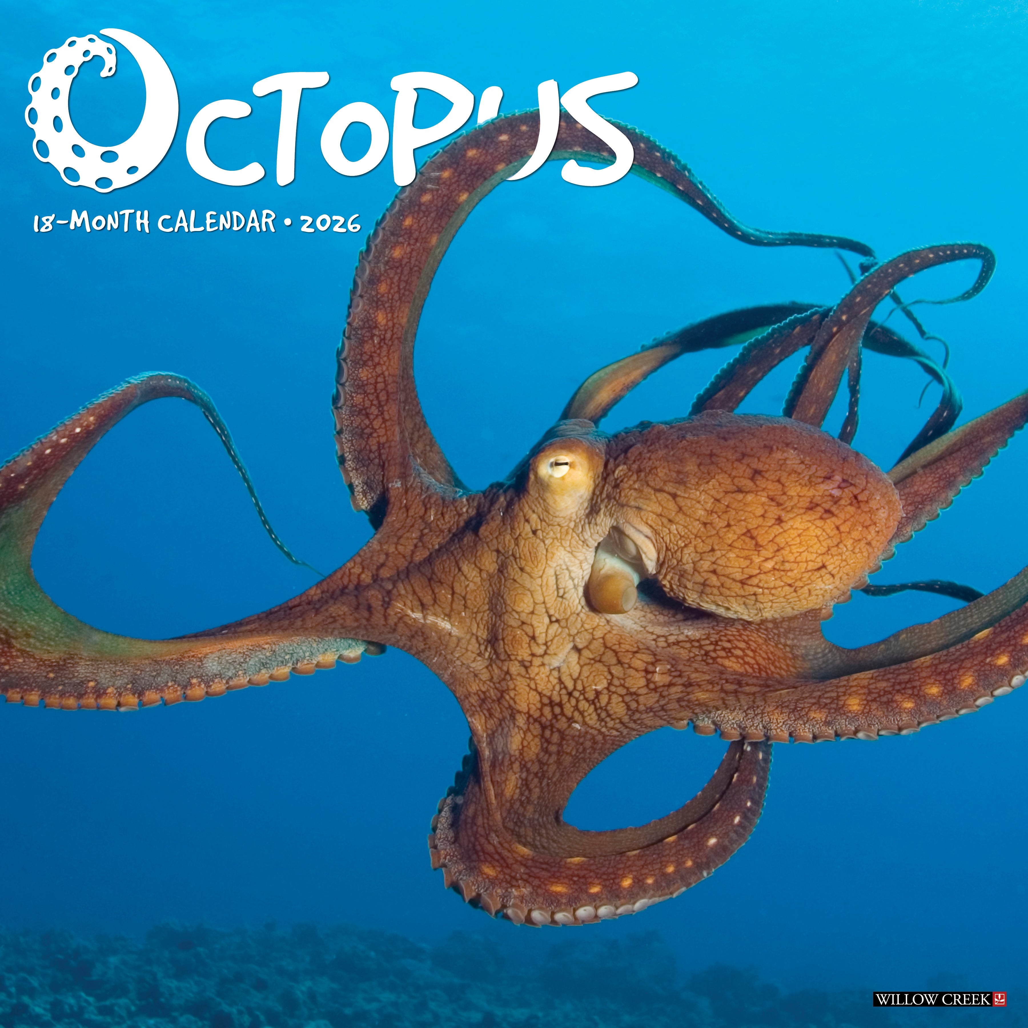 2026 Octopus - Square Wall Calendar