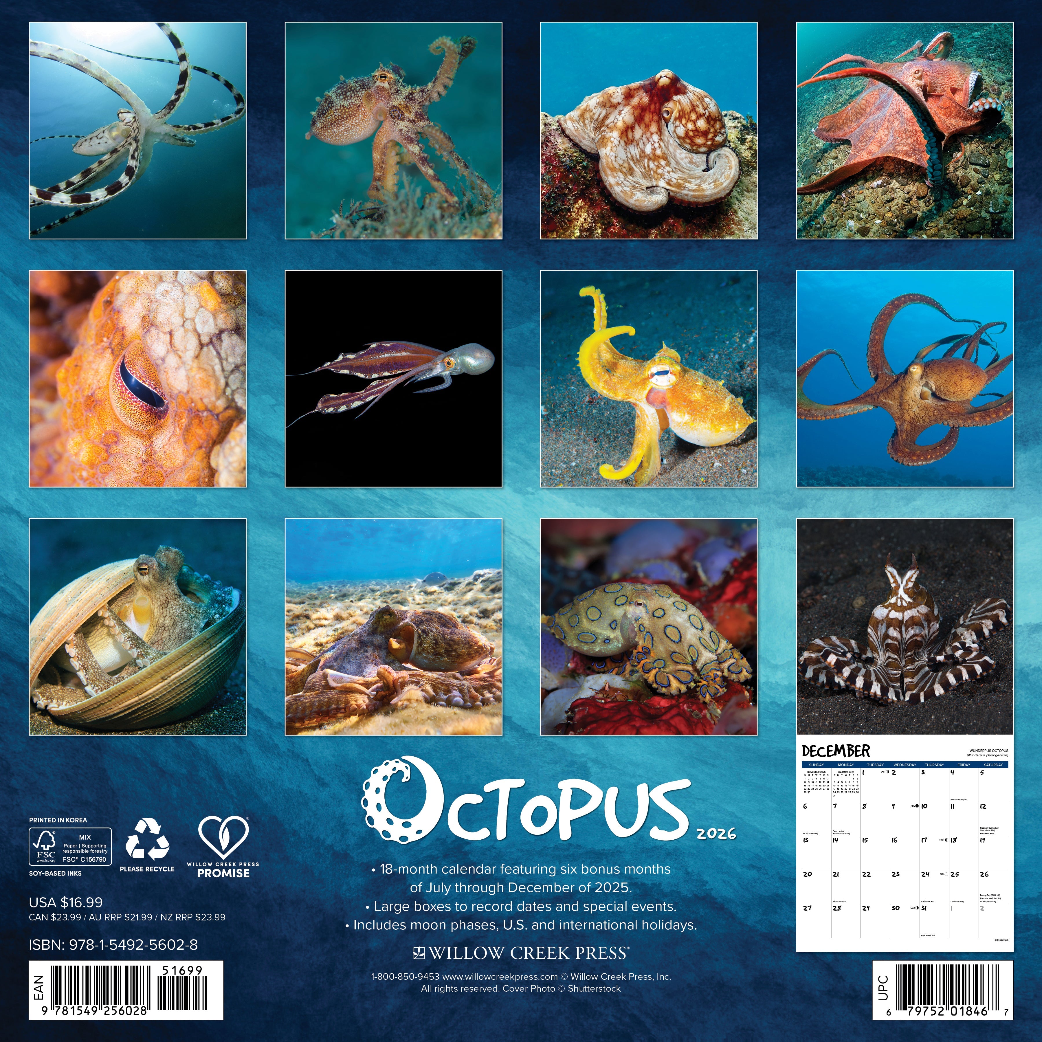 2026 Octopus - Square Wall Calendar
