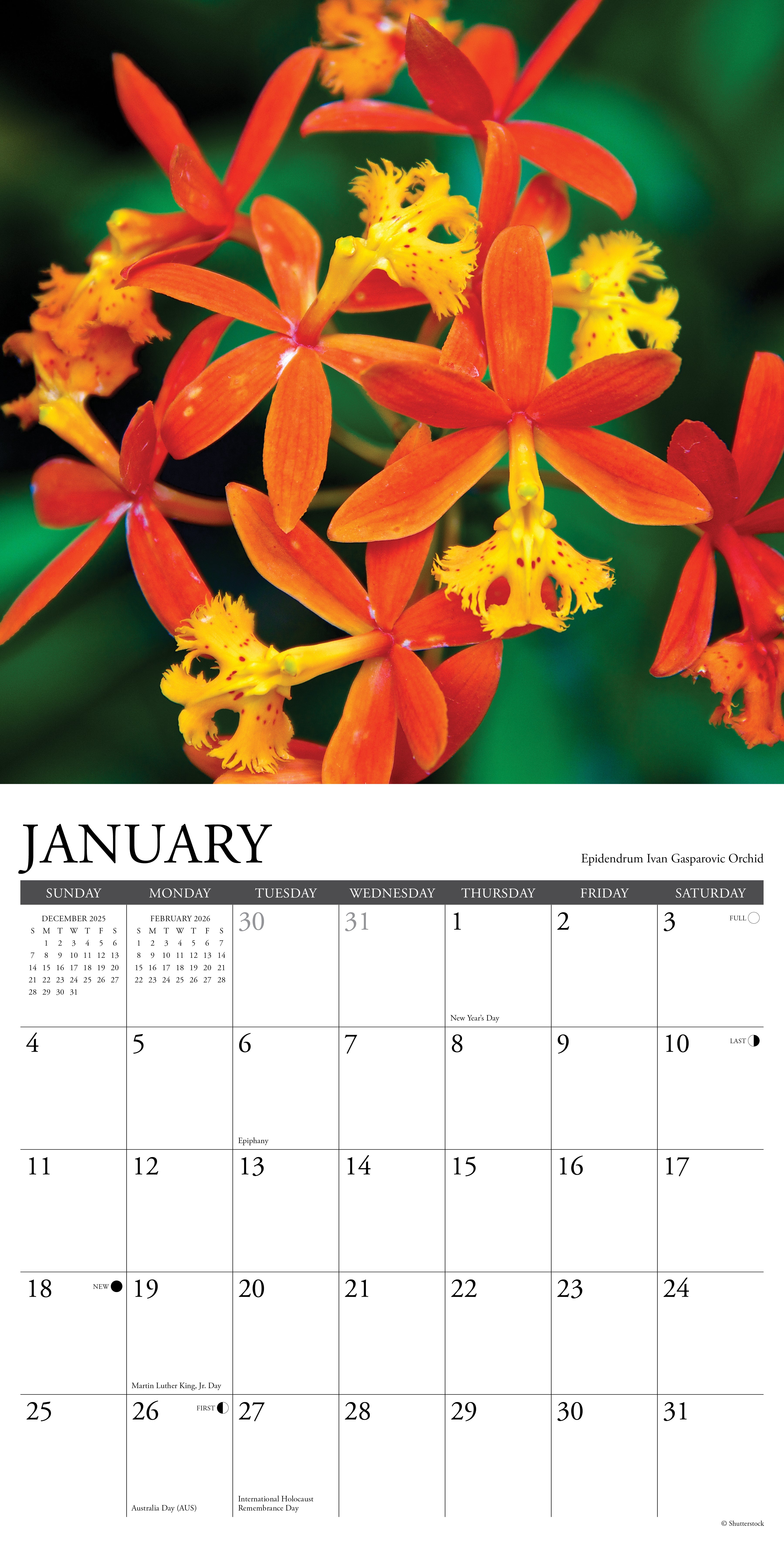 2026 Orchids - Square Wall Calendar
