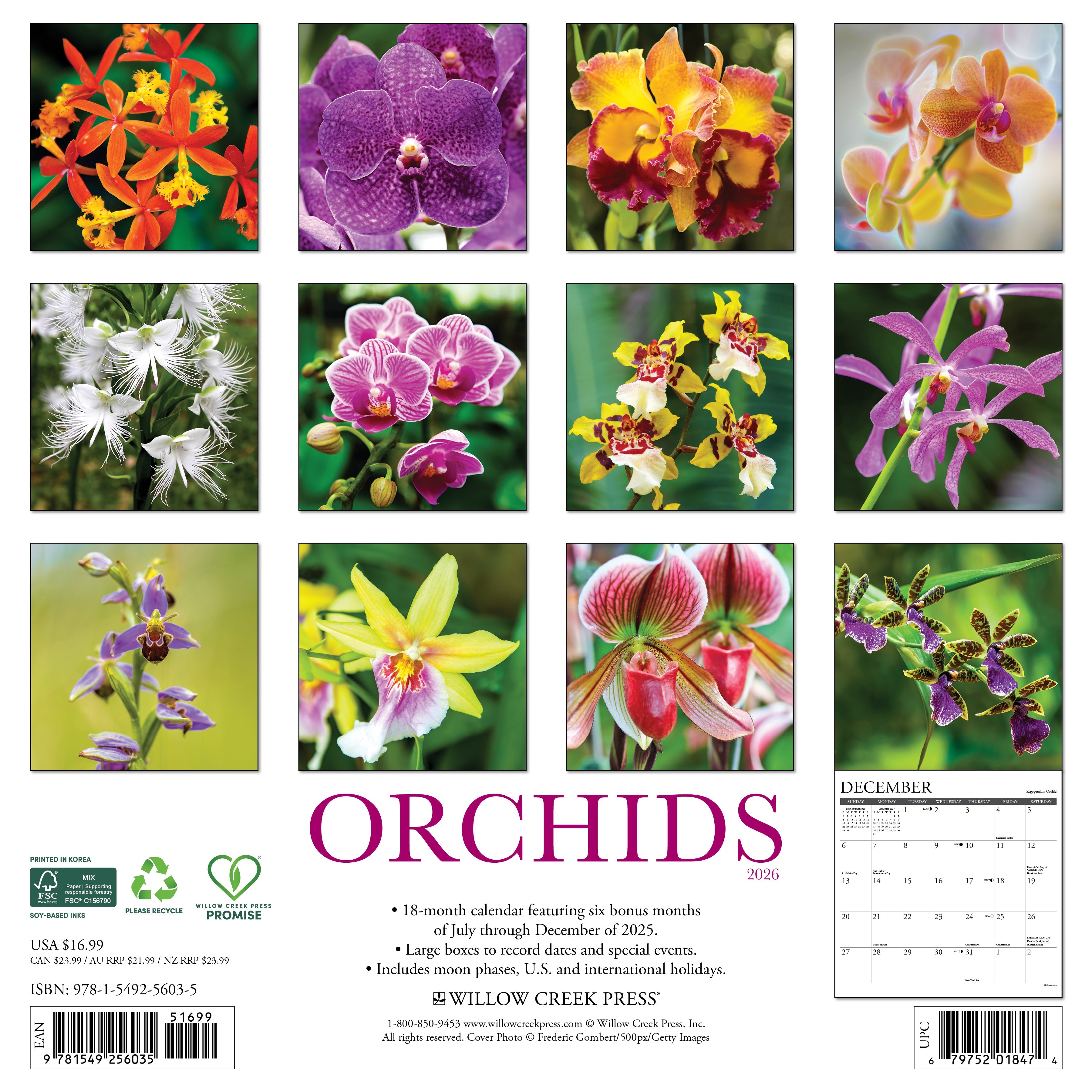 2026 Orchids - Square Wall Calendar