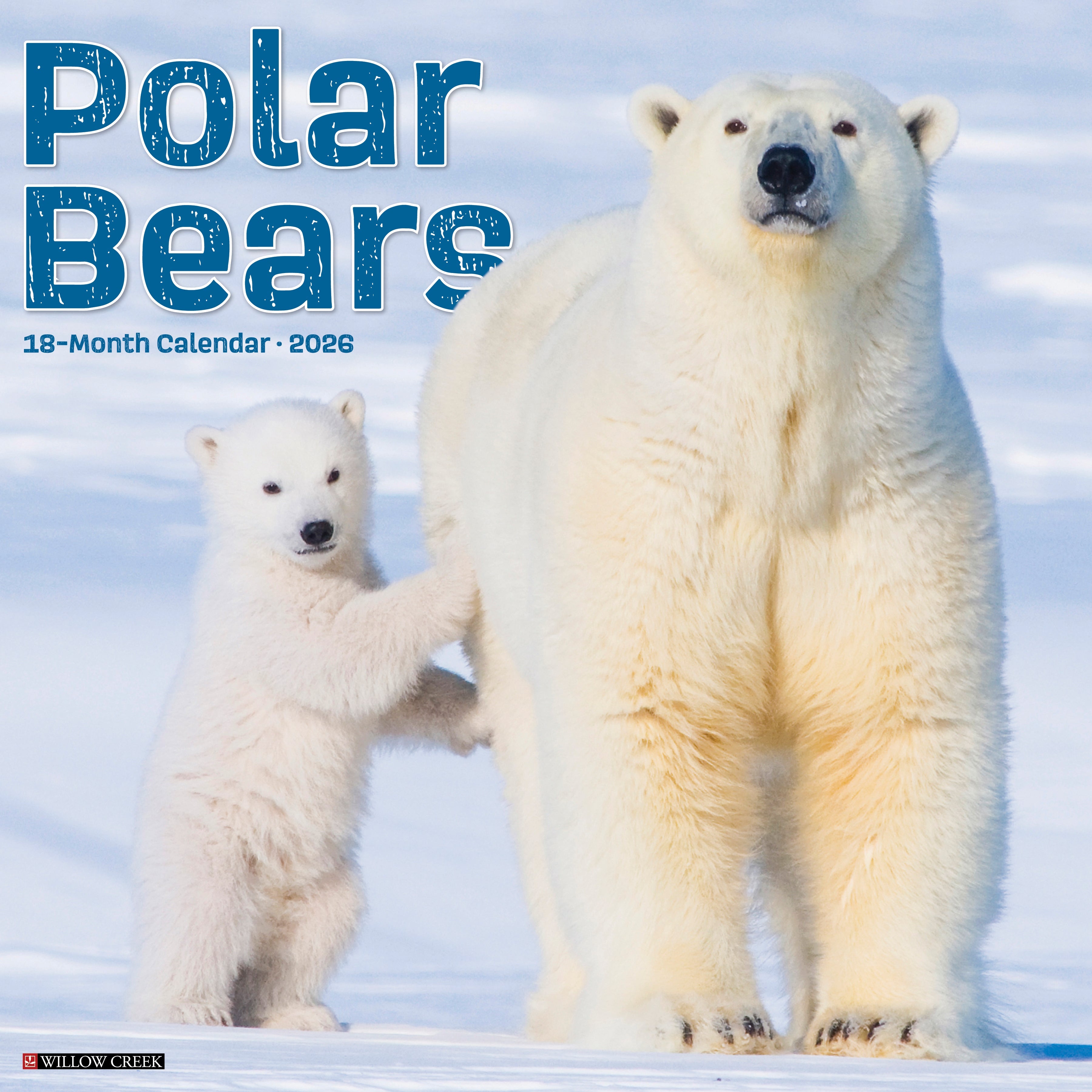 2026 Polar Bears - Square Wall Calendar