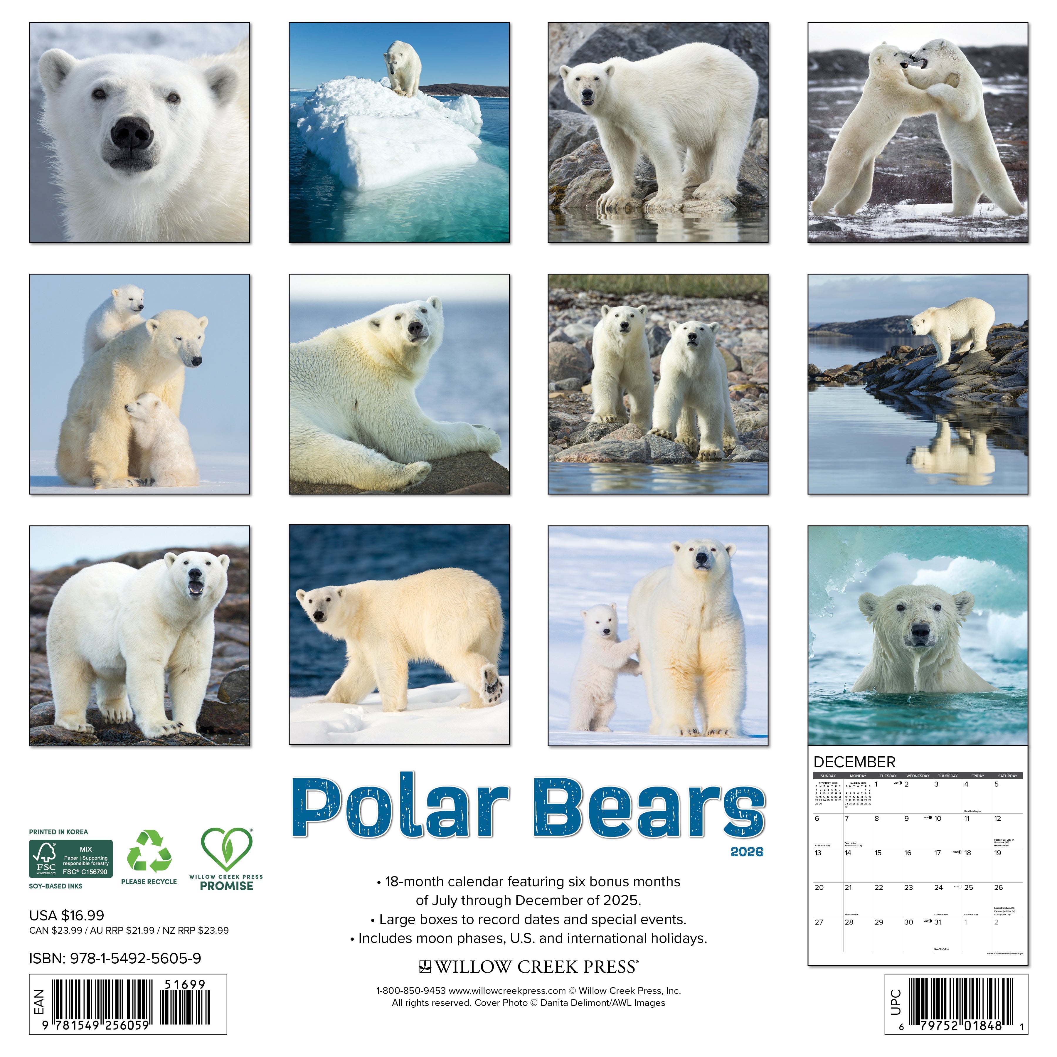 2026 Polar Bears - Square Wall Calendar