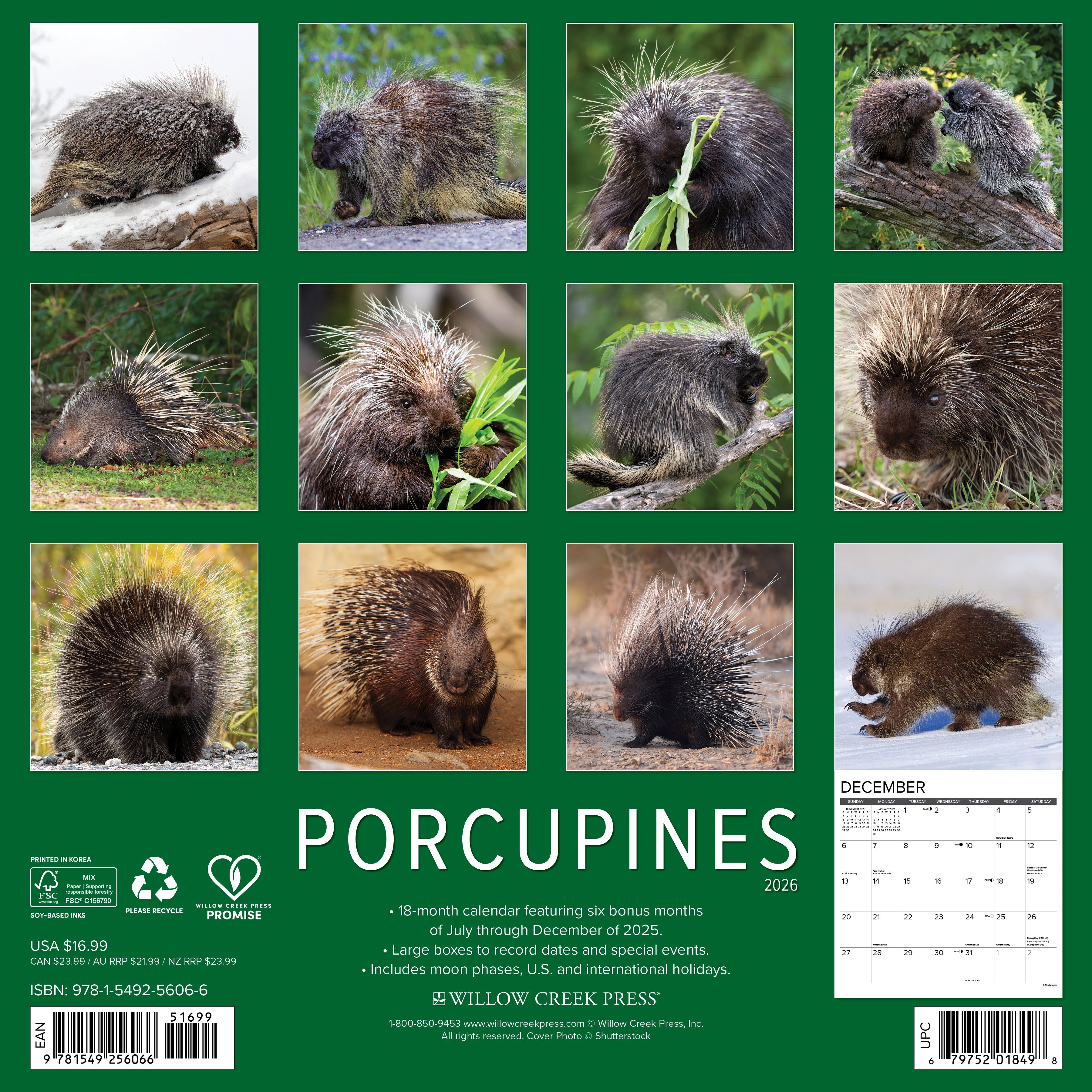 2026 Porcupines - Square Wall Calendar