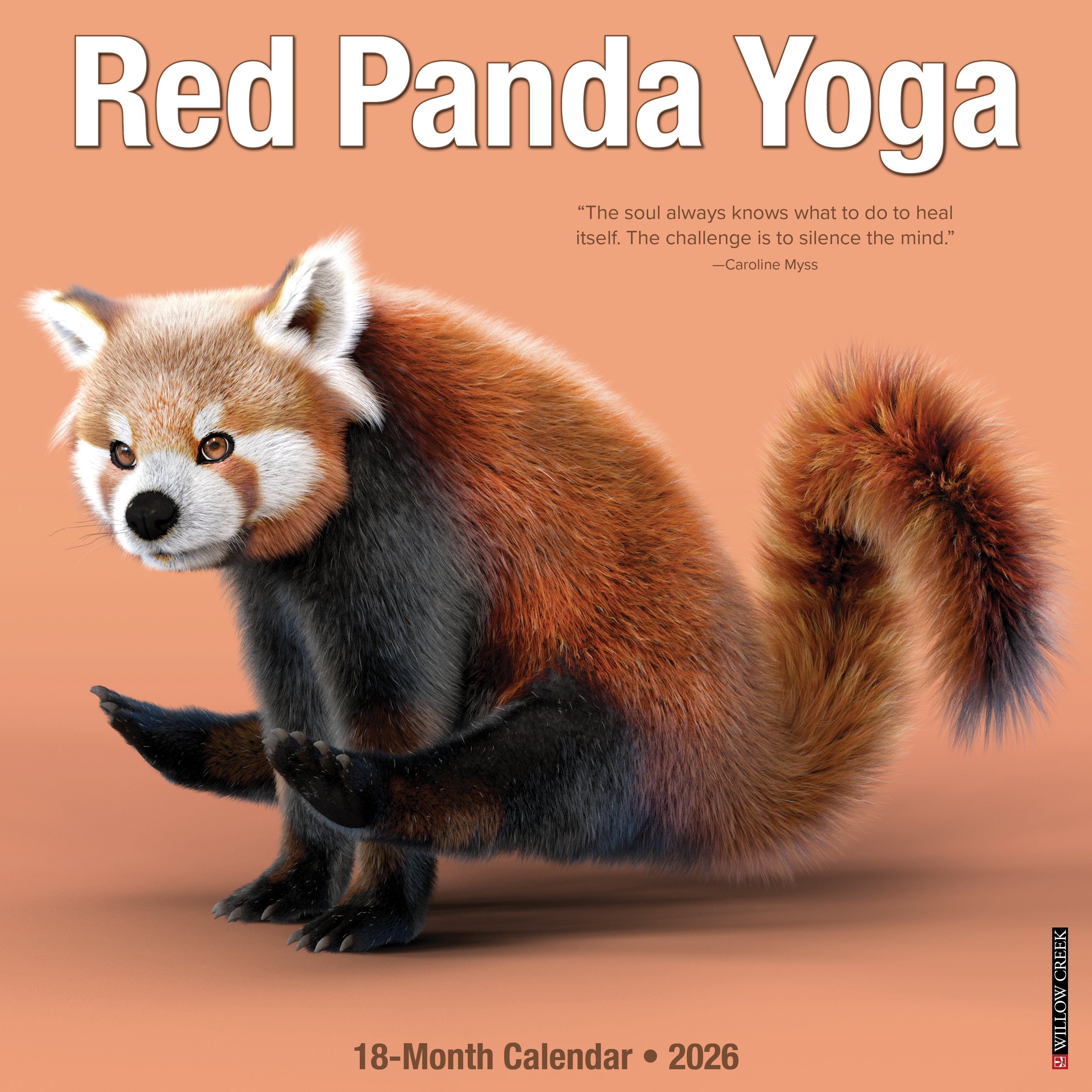 2026 Red Panda Yoga - Square Wall Calendar