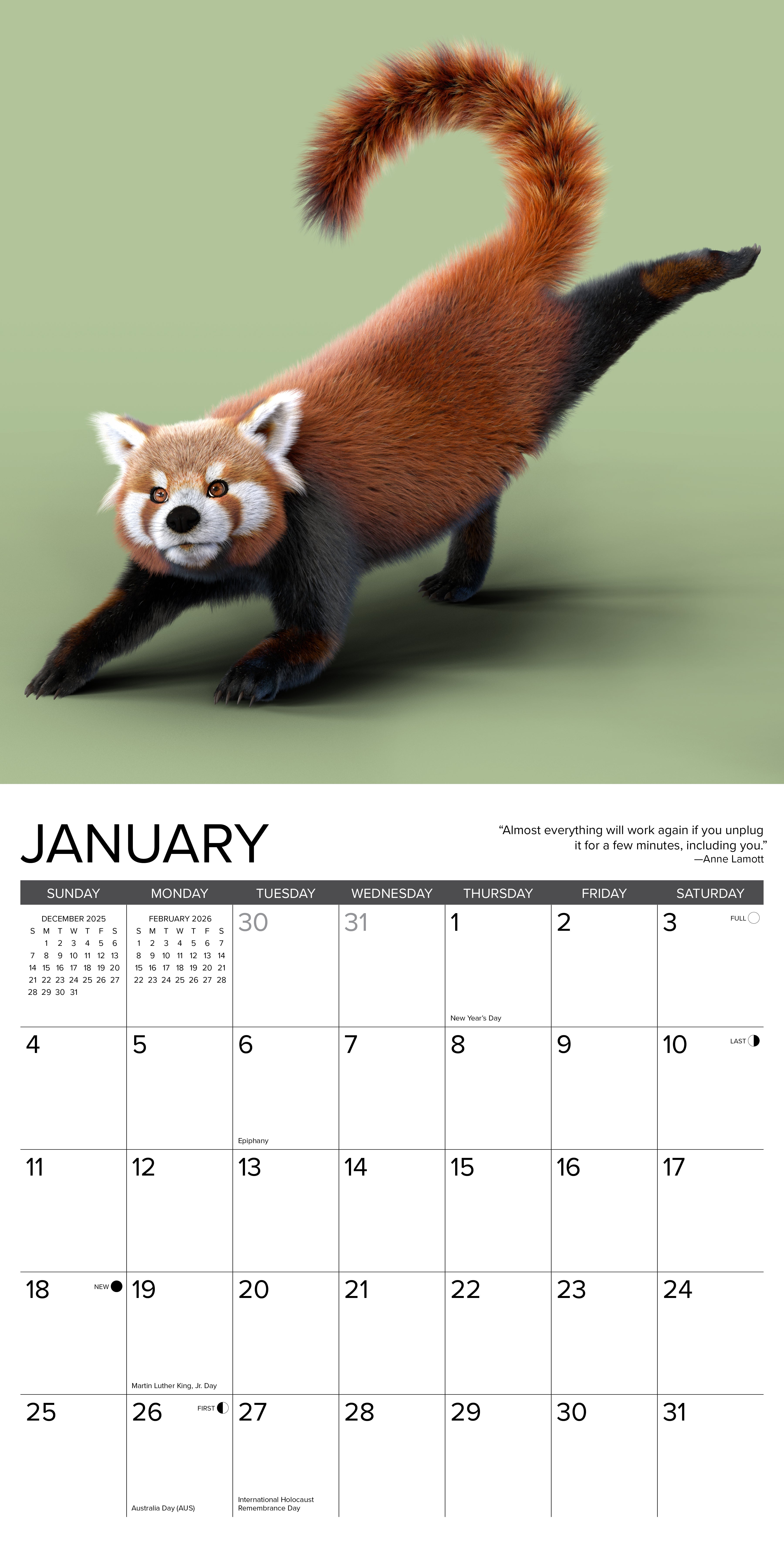 2026 Red Panda Yoga - Square Wall Calendar
