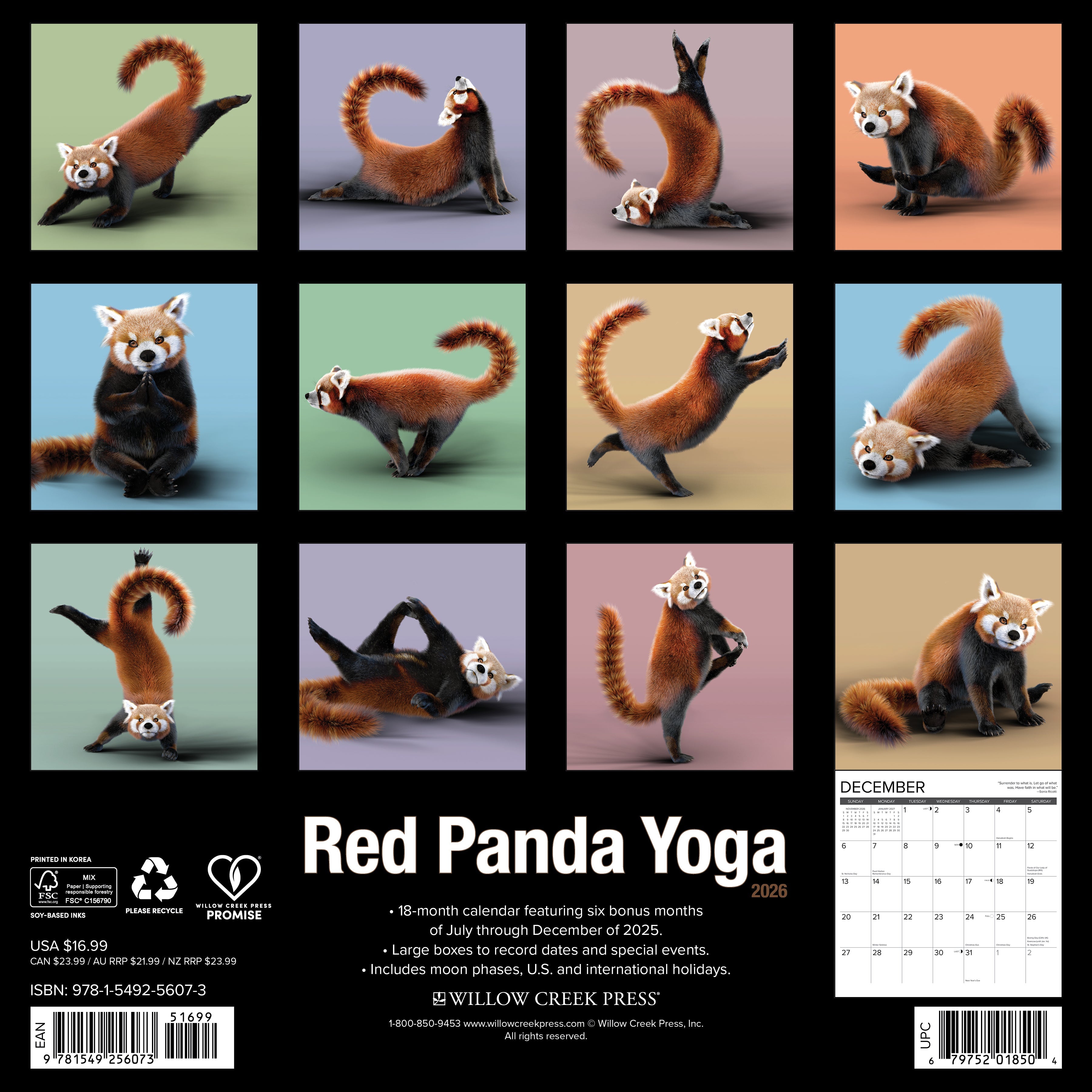 2026 Red Panda Yoga - Square Wall Calendar