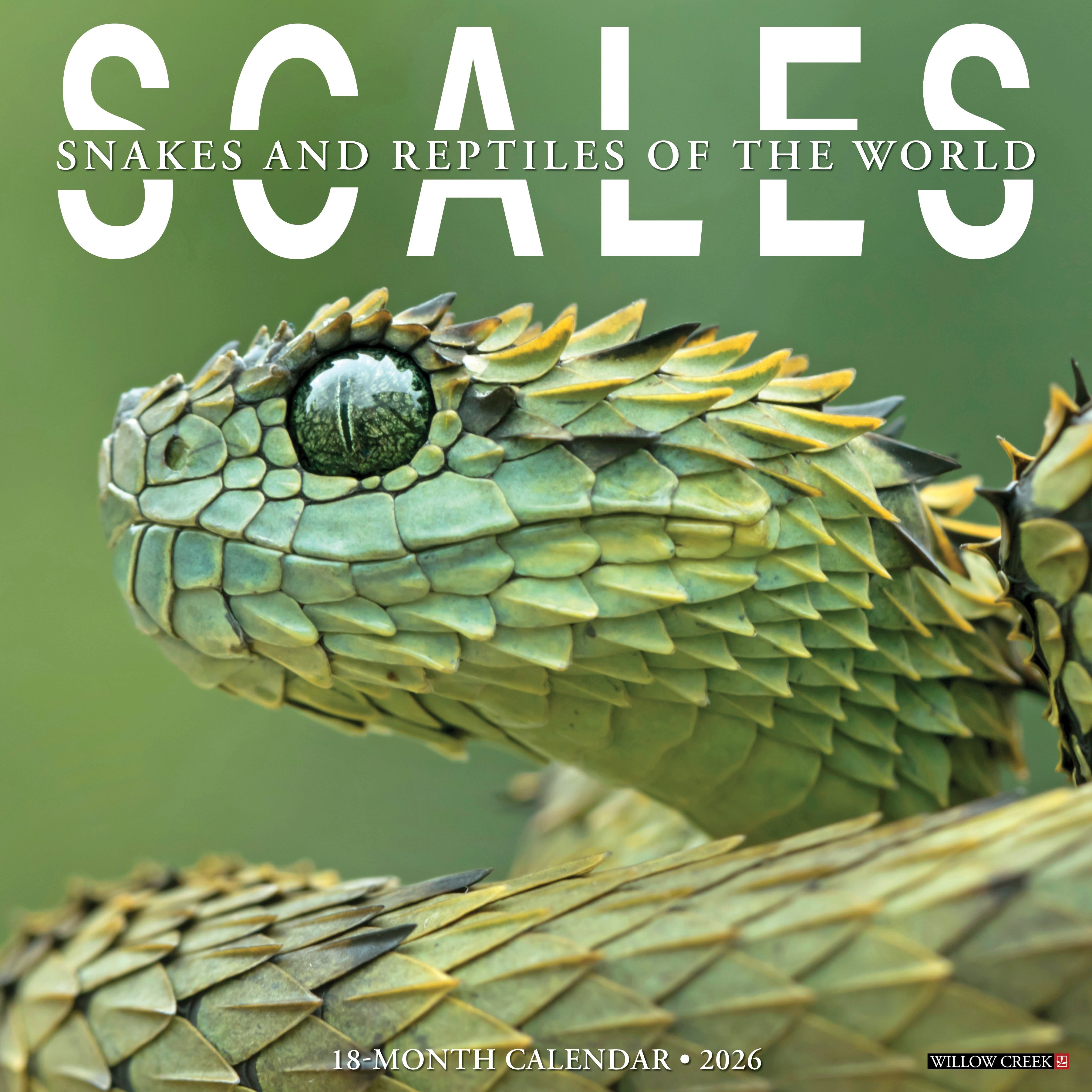 2026 Scales - Square Wall Calendar