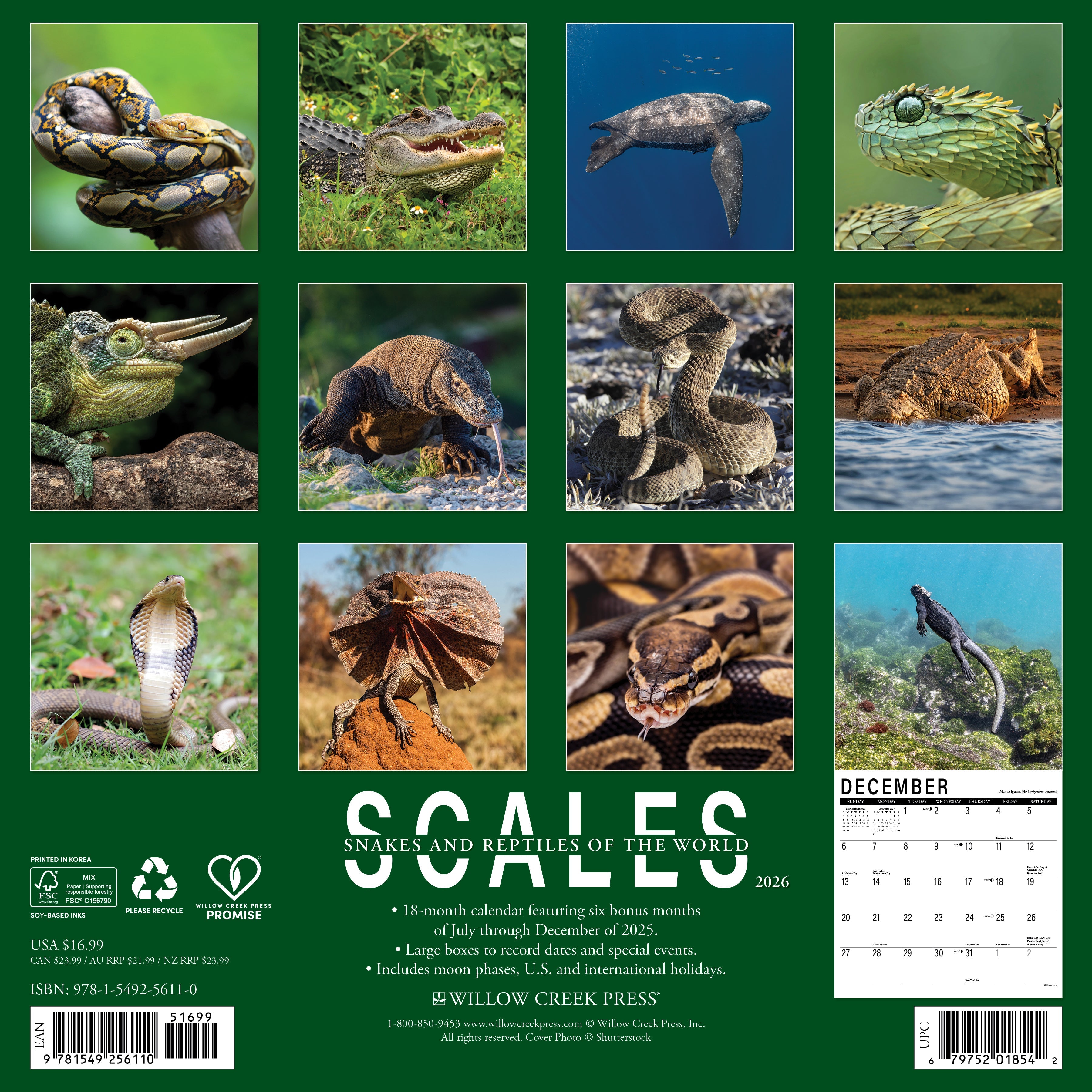 2026 Scales - Square Wall Calendar
