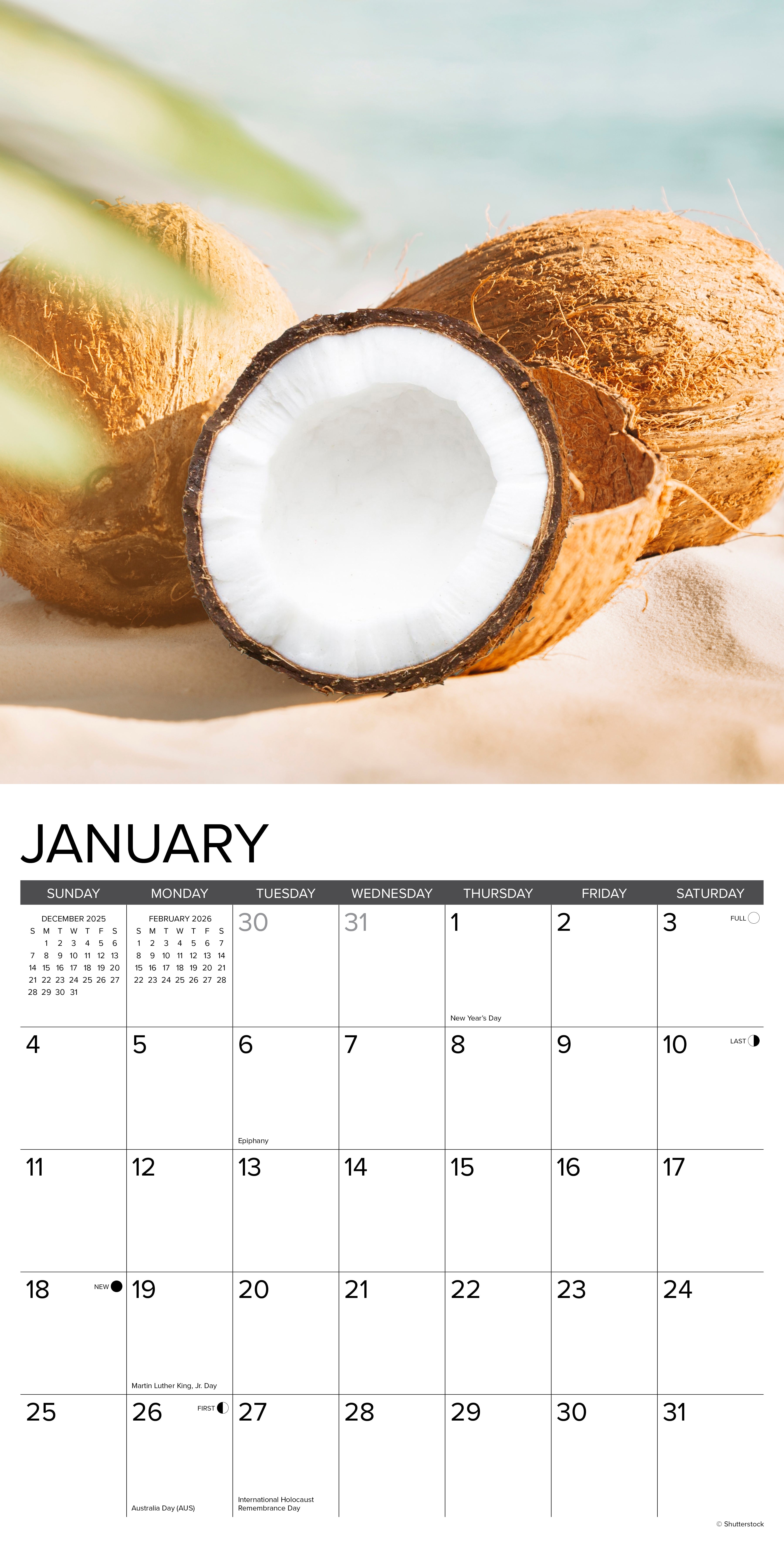 2026 Tropic Like It’s Hot - Square Wall Calendar